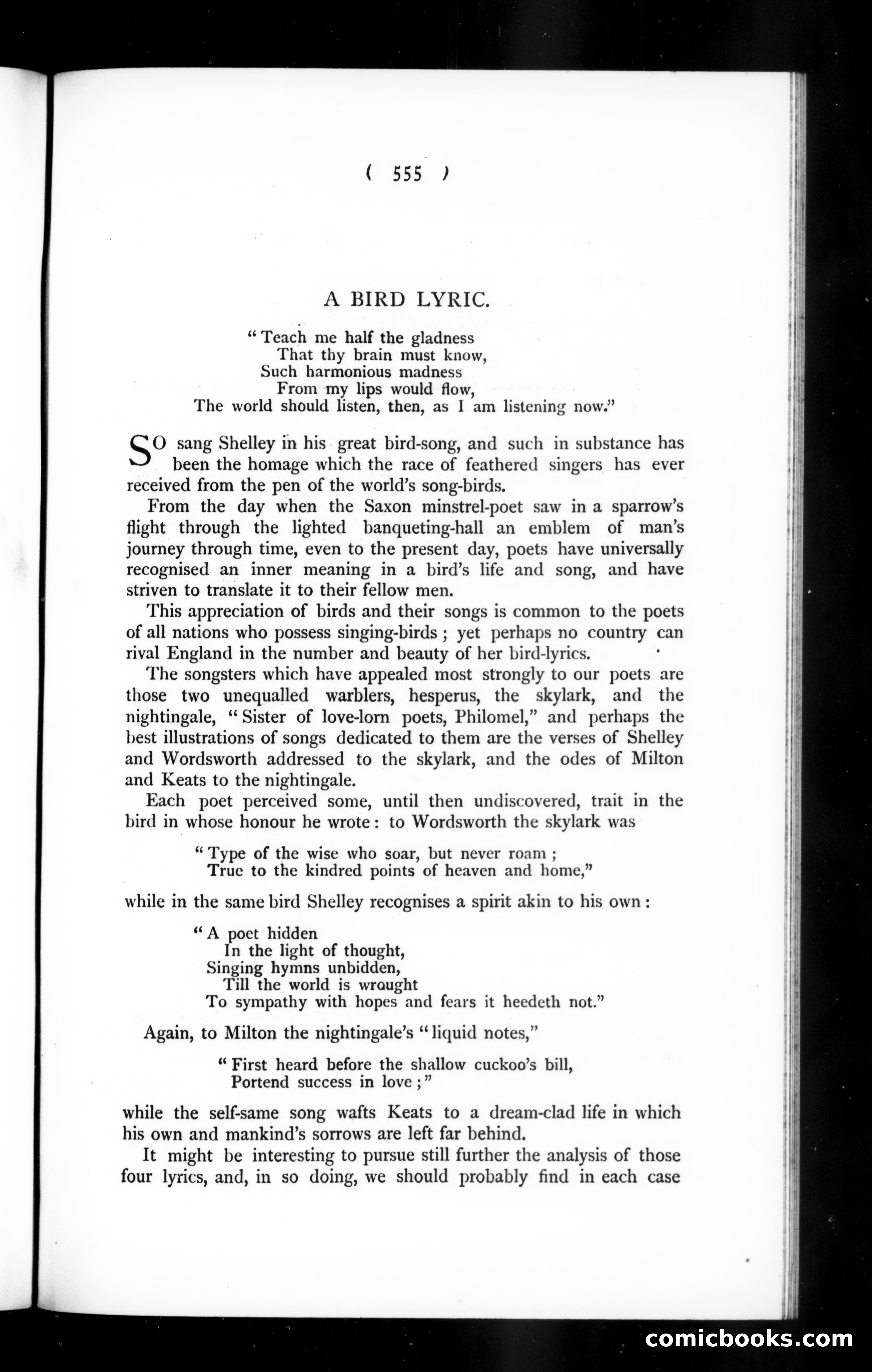 The Argosy, Vol. 59 — page 43 of 132