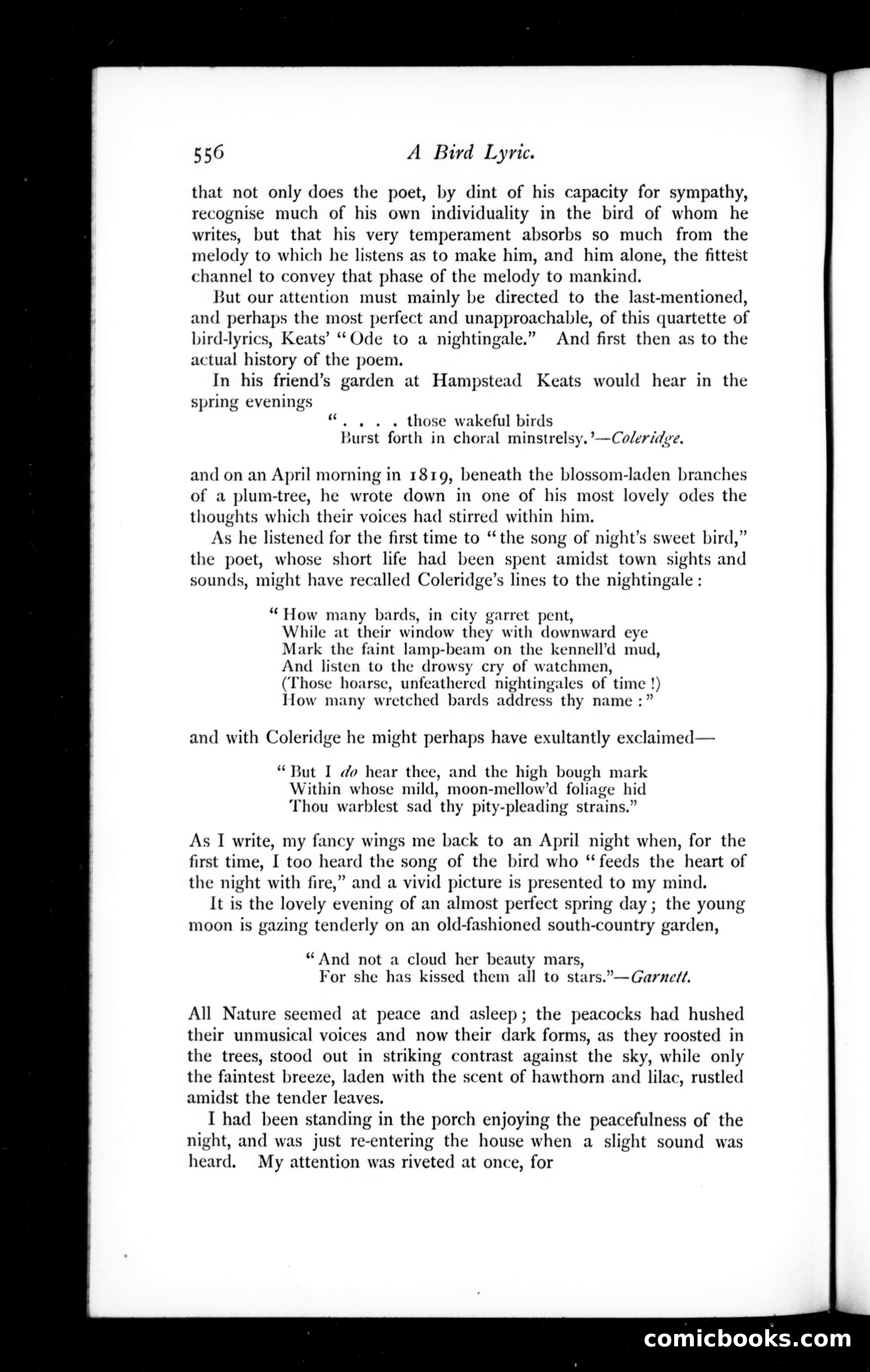 The Argosy, Vol. 59 — page 44 of 132
