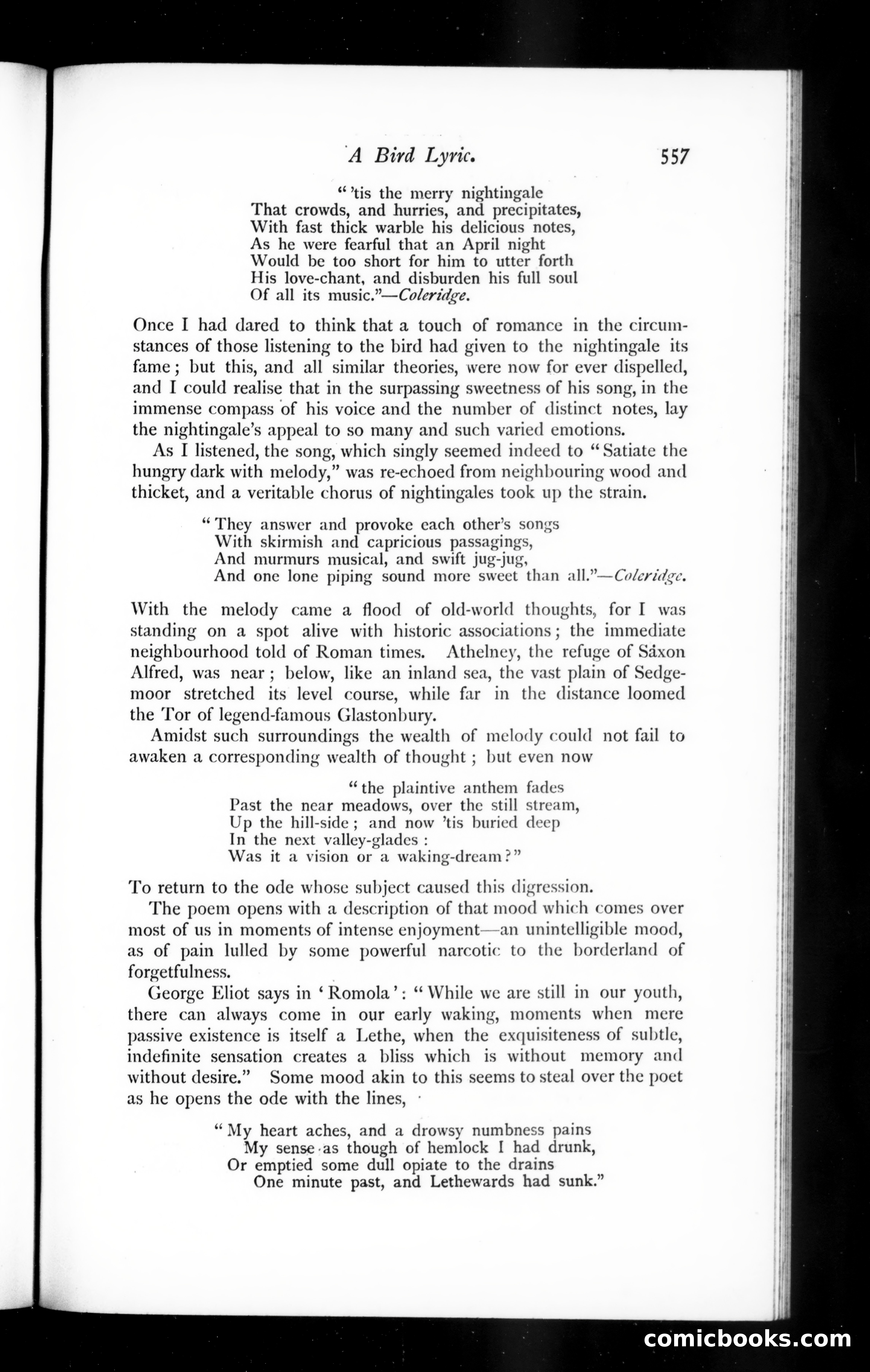 The Argosy, Vol. 59 — page 45 of 132