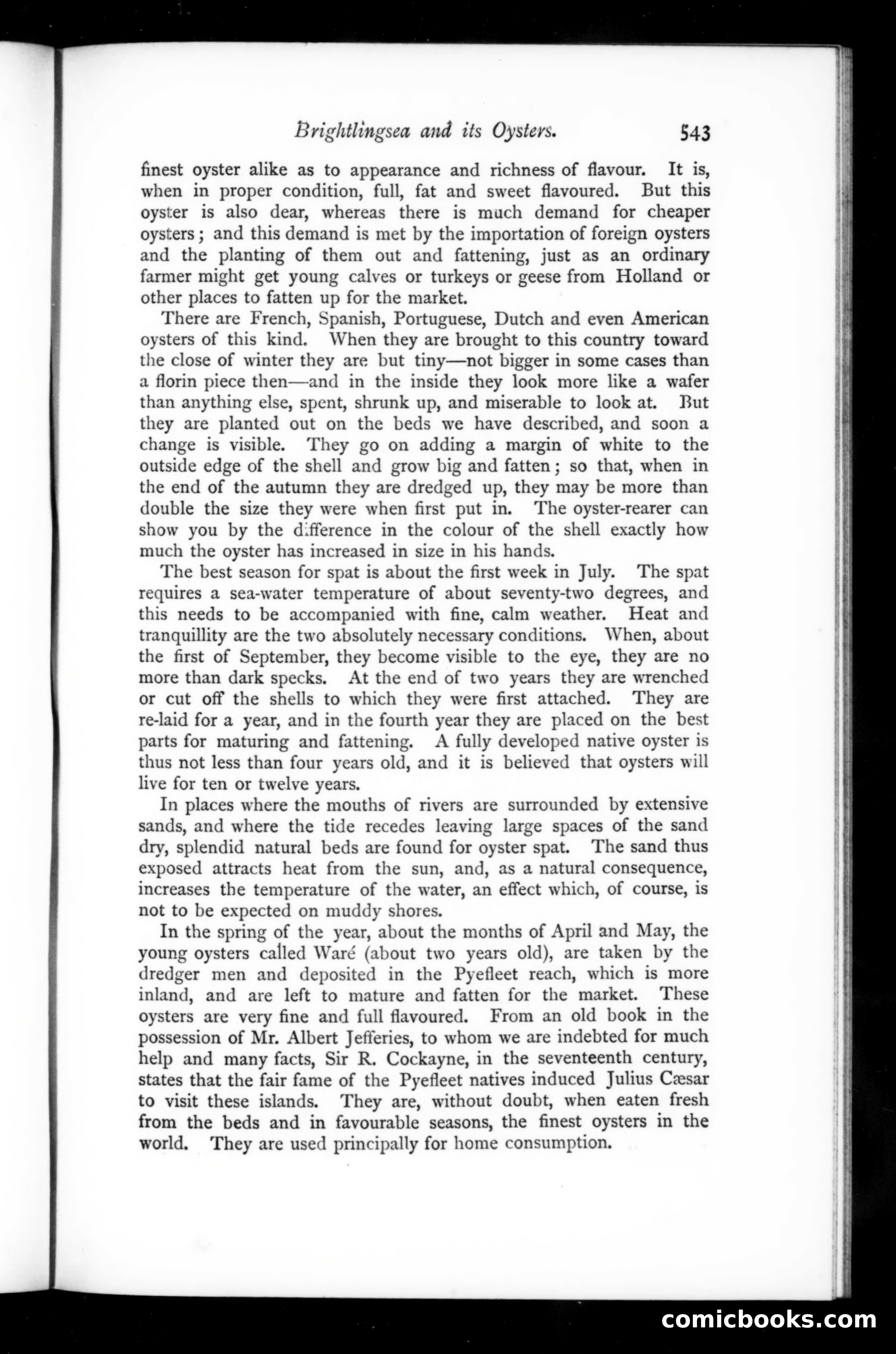 The Argosy, Vol. 62 — page 31 of 129