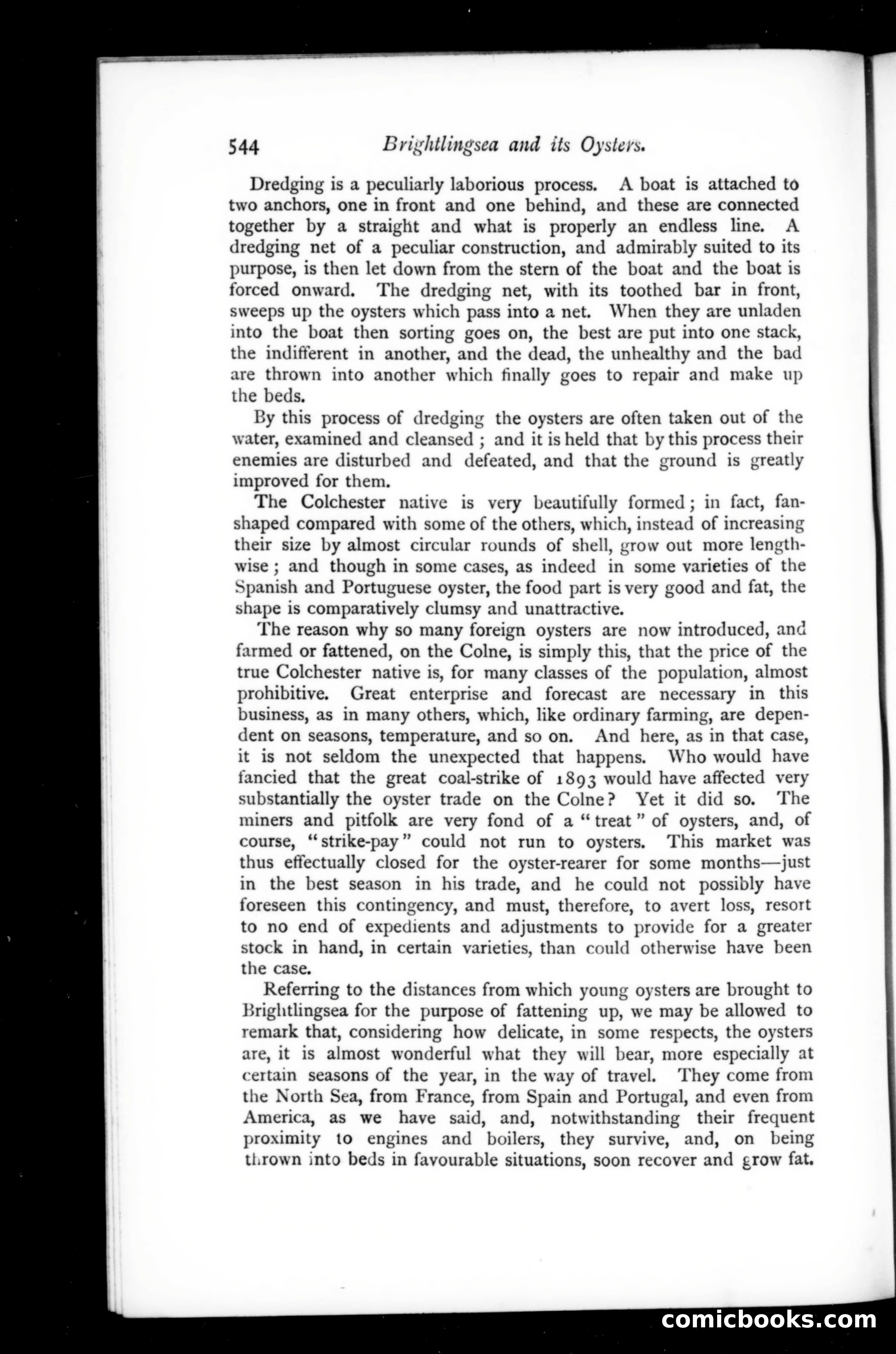 The Argosy, Vol. 62 — page 32 of 129