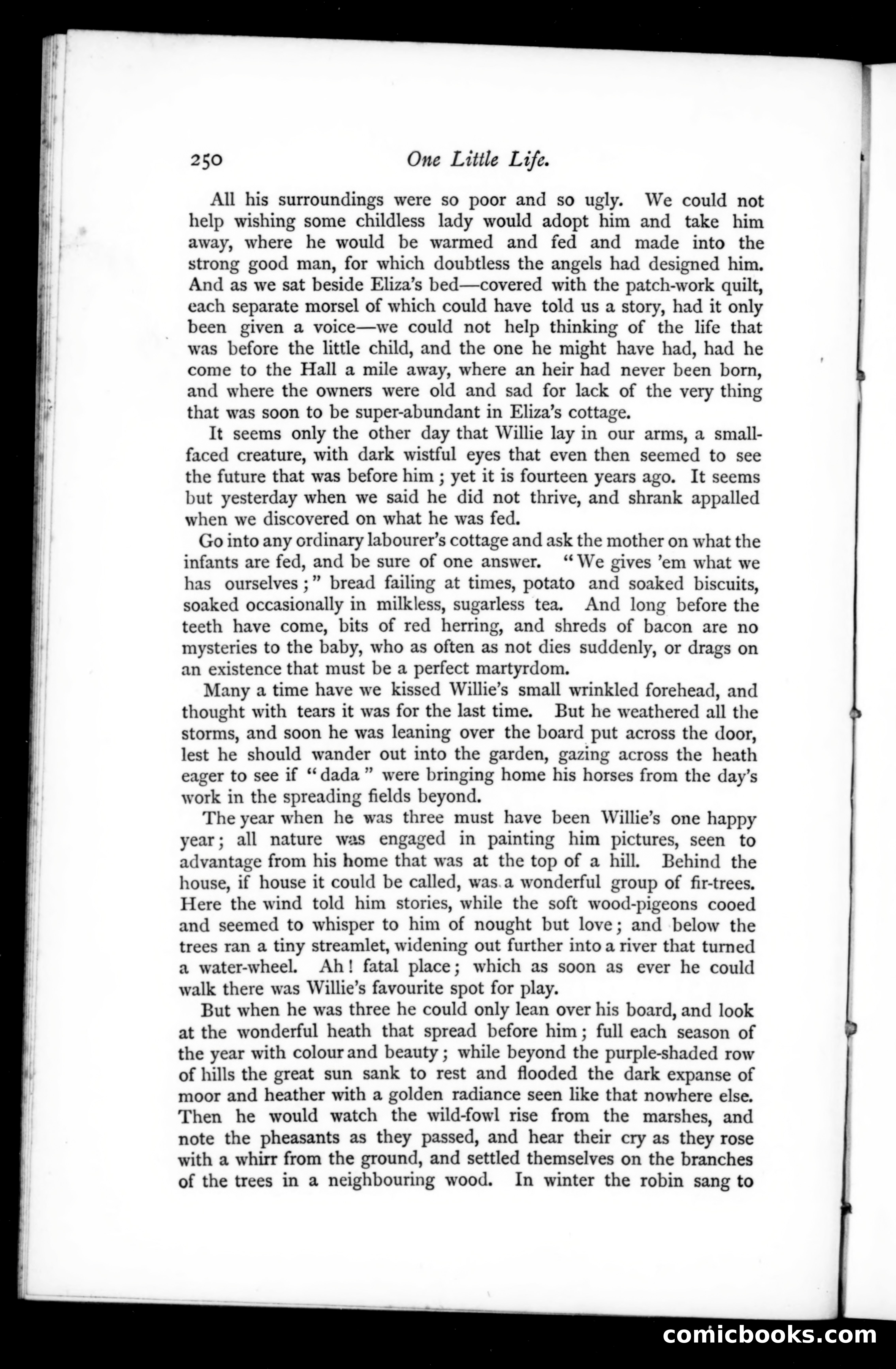 The Argosy, Vol. 63 — page 114 of 137