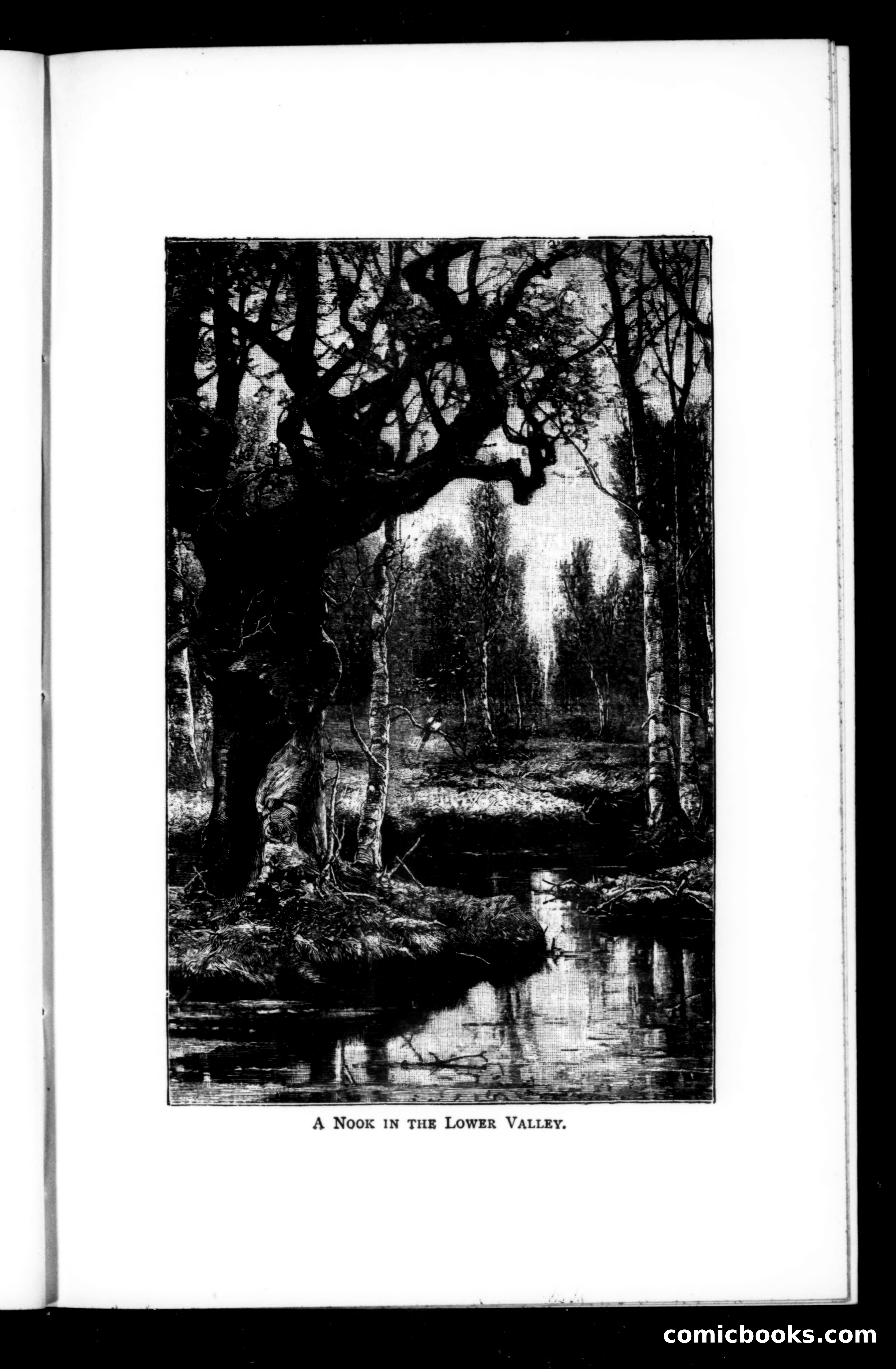 The Argosy, Vol. 64 — page 59 of 129