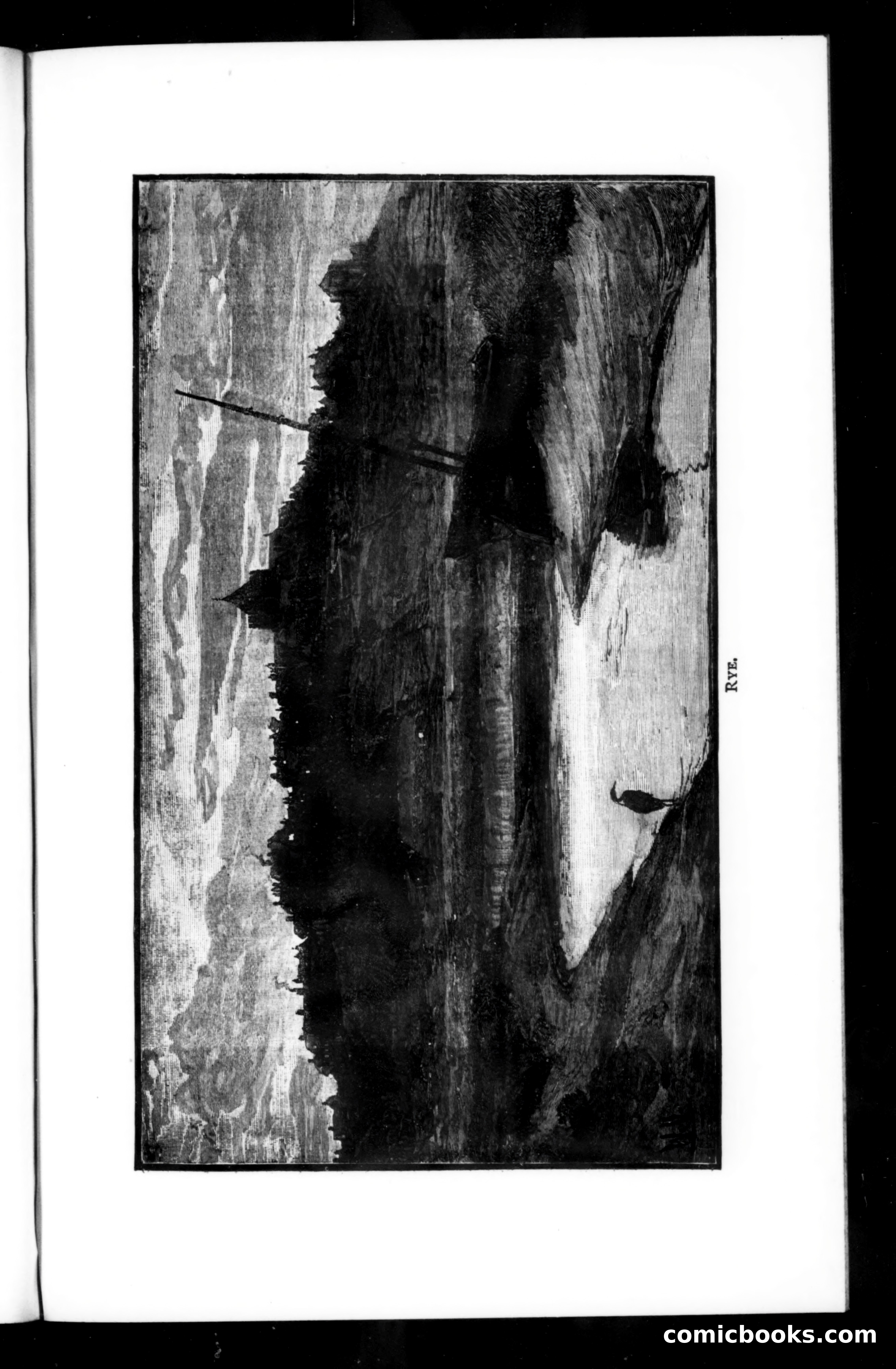 The Argosy, Vol. 65 — page 57 of 125
