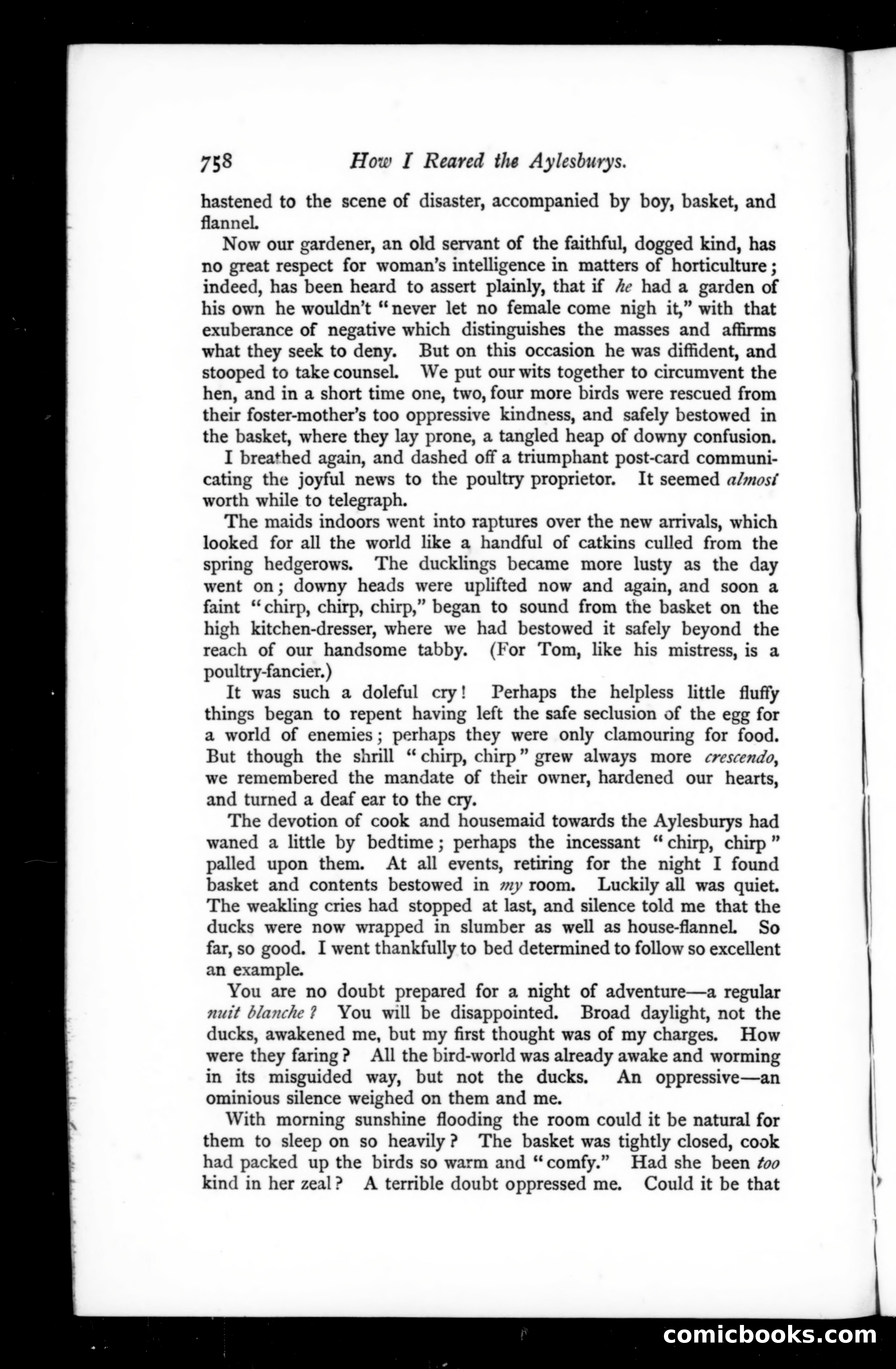 The Argosy, Vol. 65 — page 118 of 125