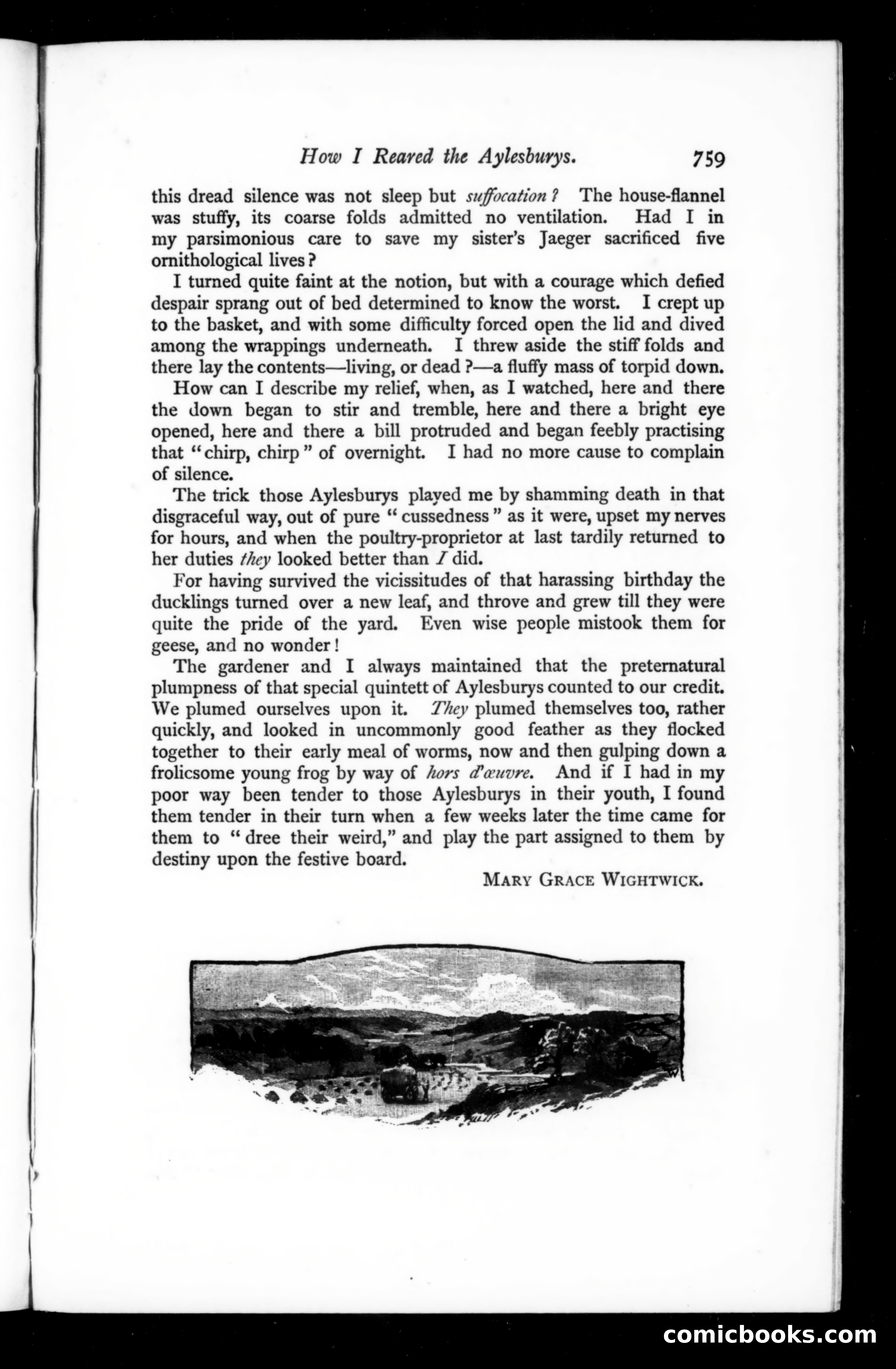 The Argosy, Vol. 65 — page 119 of 125