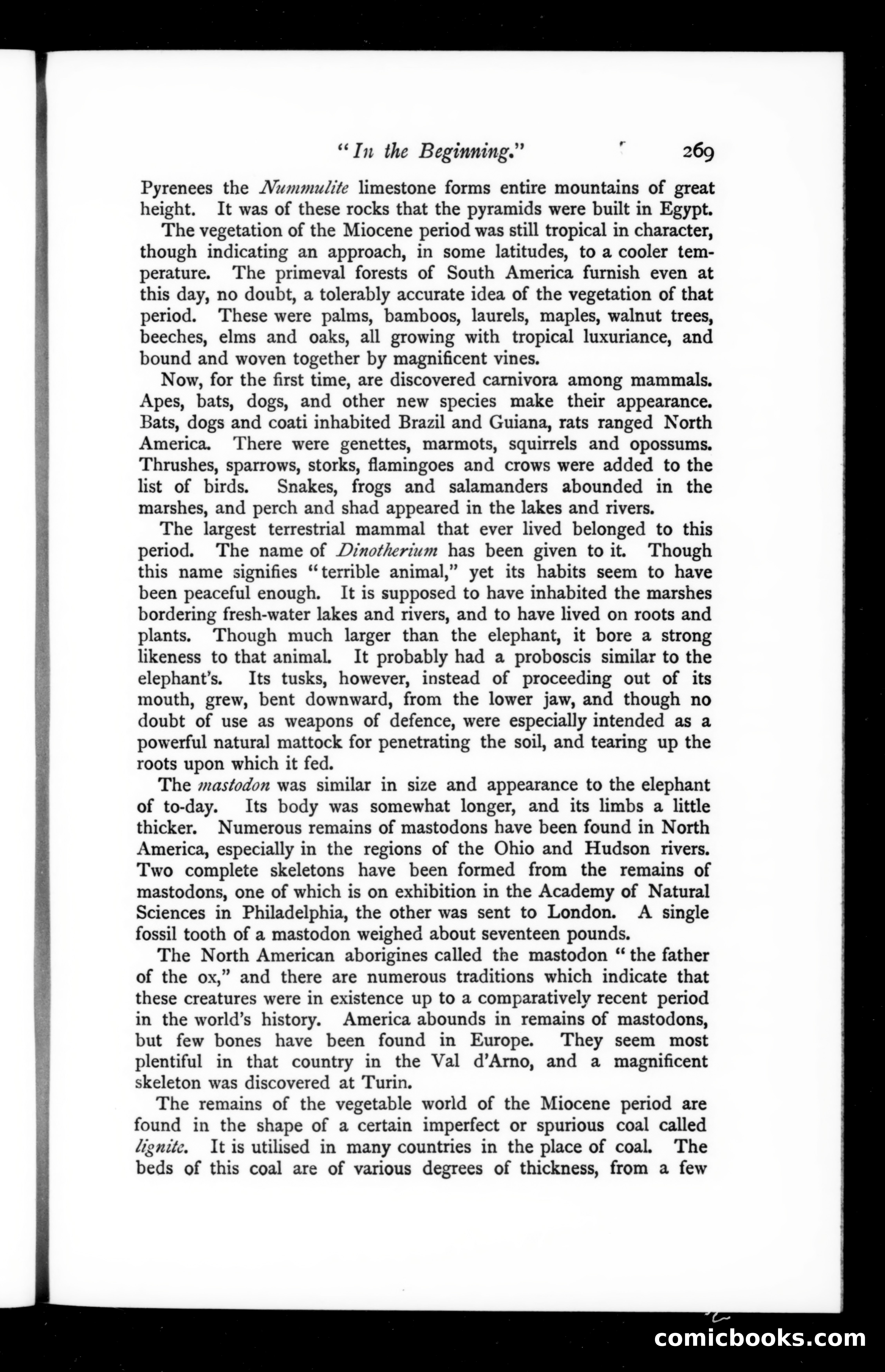 The Argosy, Vol. 67 — page 29 of 121