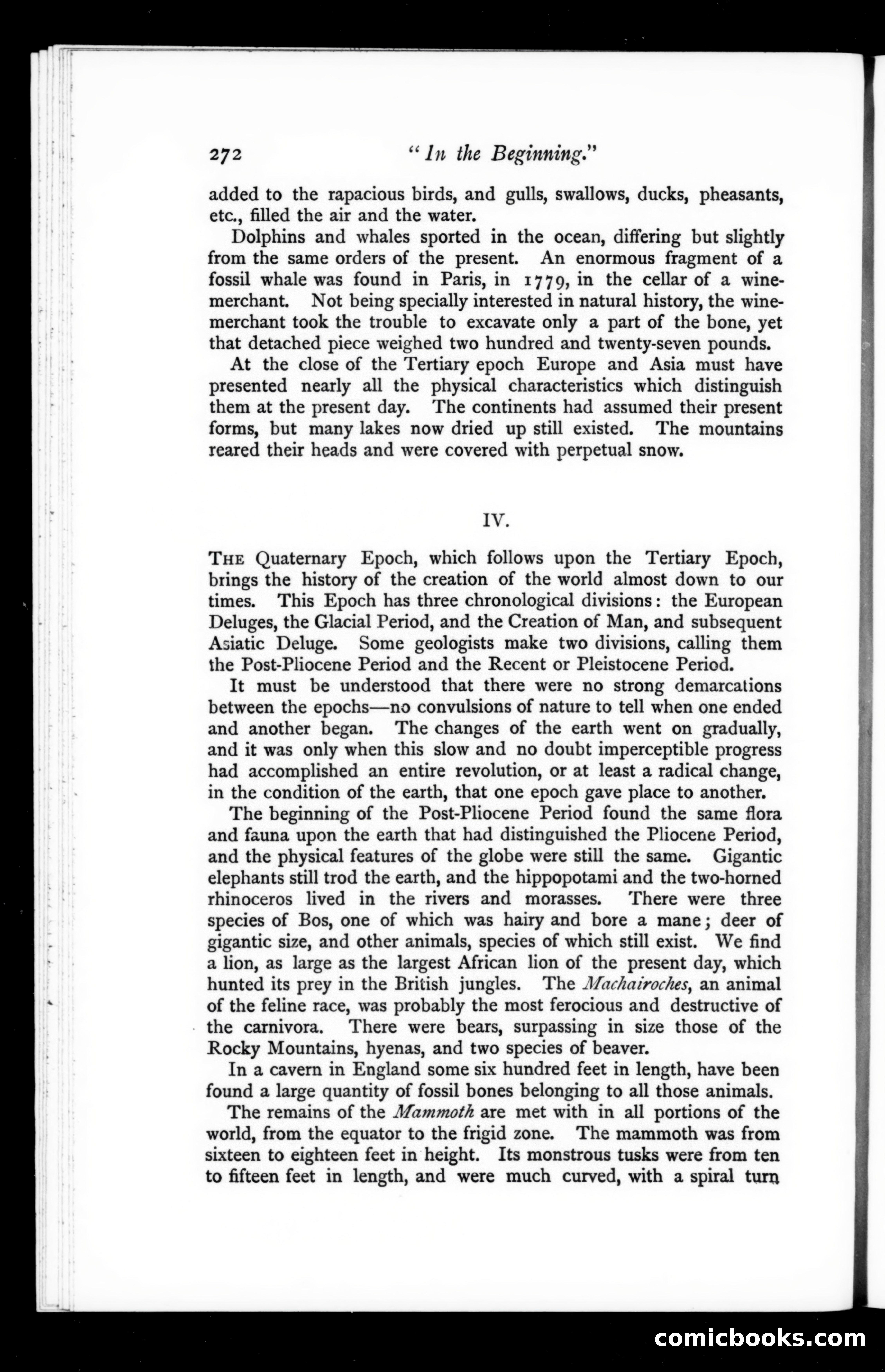 The Argosy, Vol. 67 — page 32 of 121