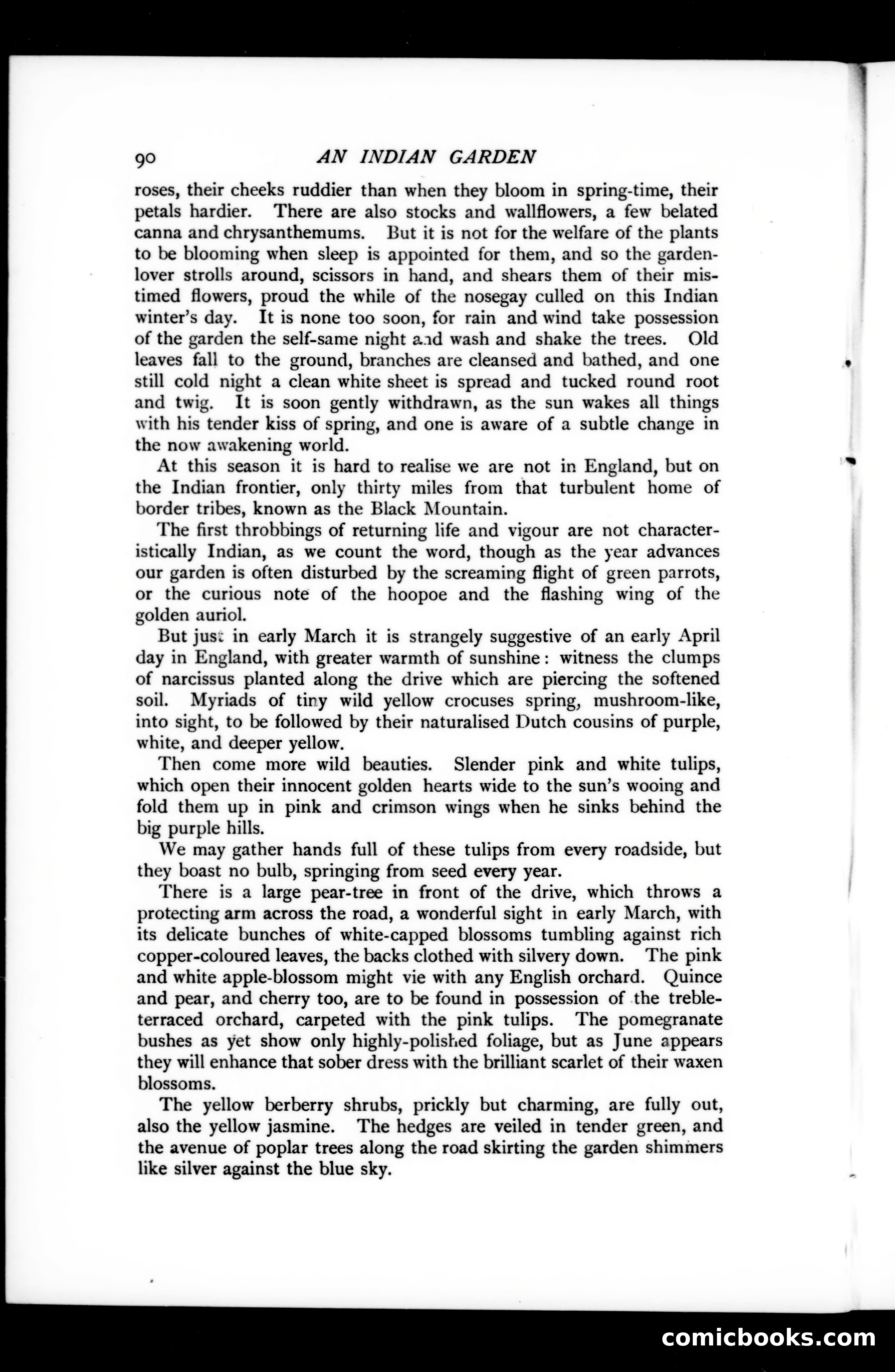 The Argosy, Vol. 73 — page 96 of 127