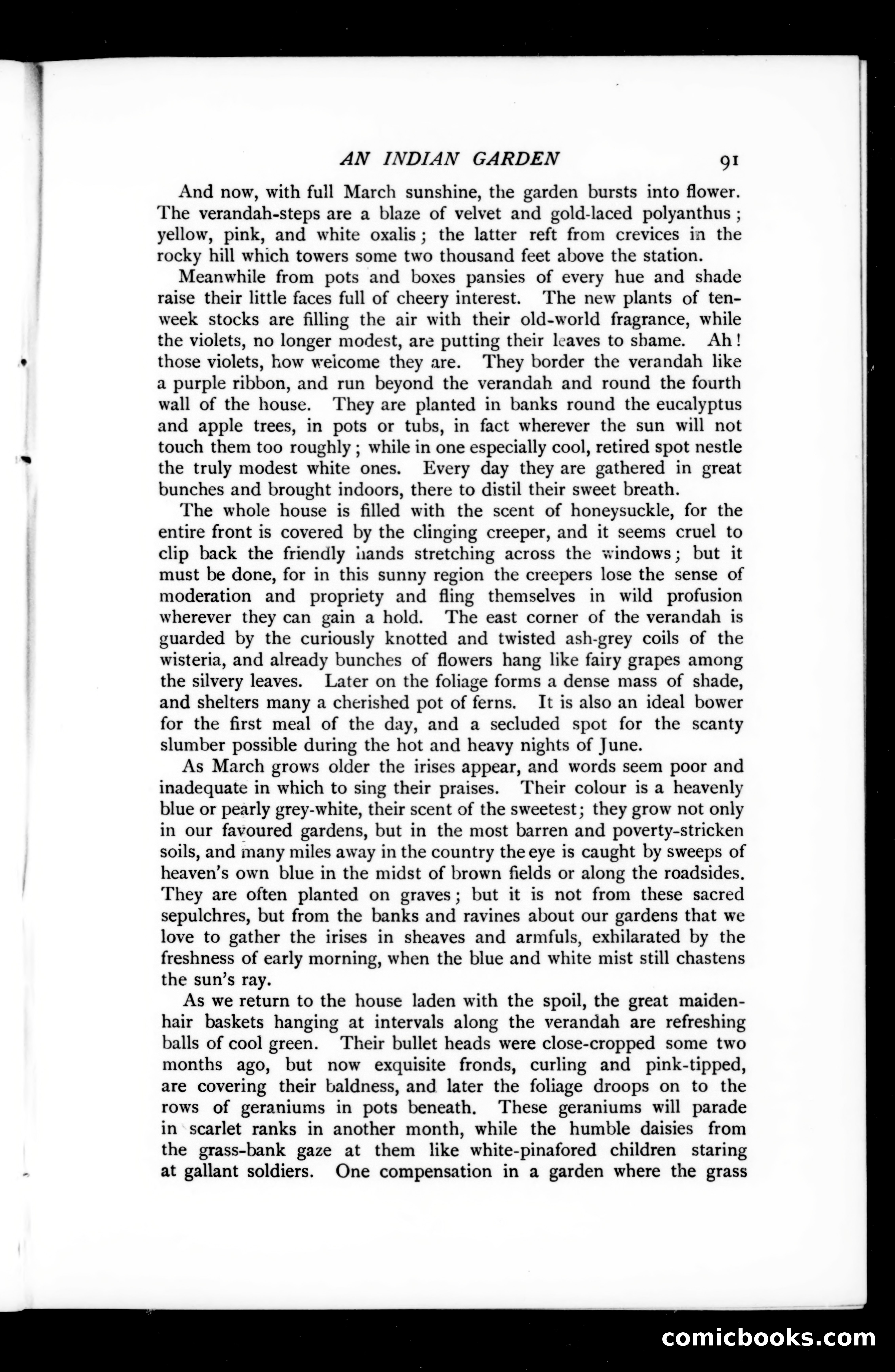 The Argosy, Vol. 73 — page 97 of 127