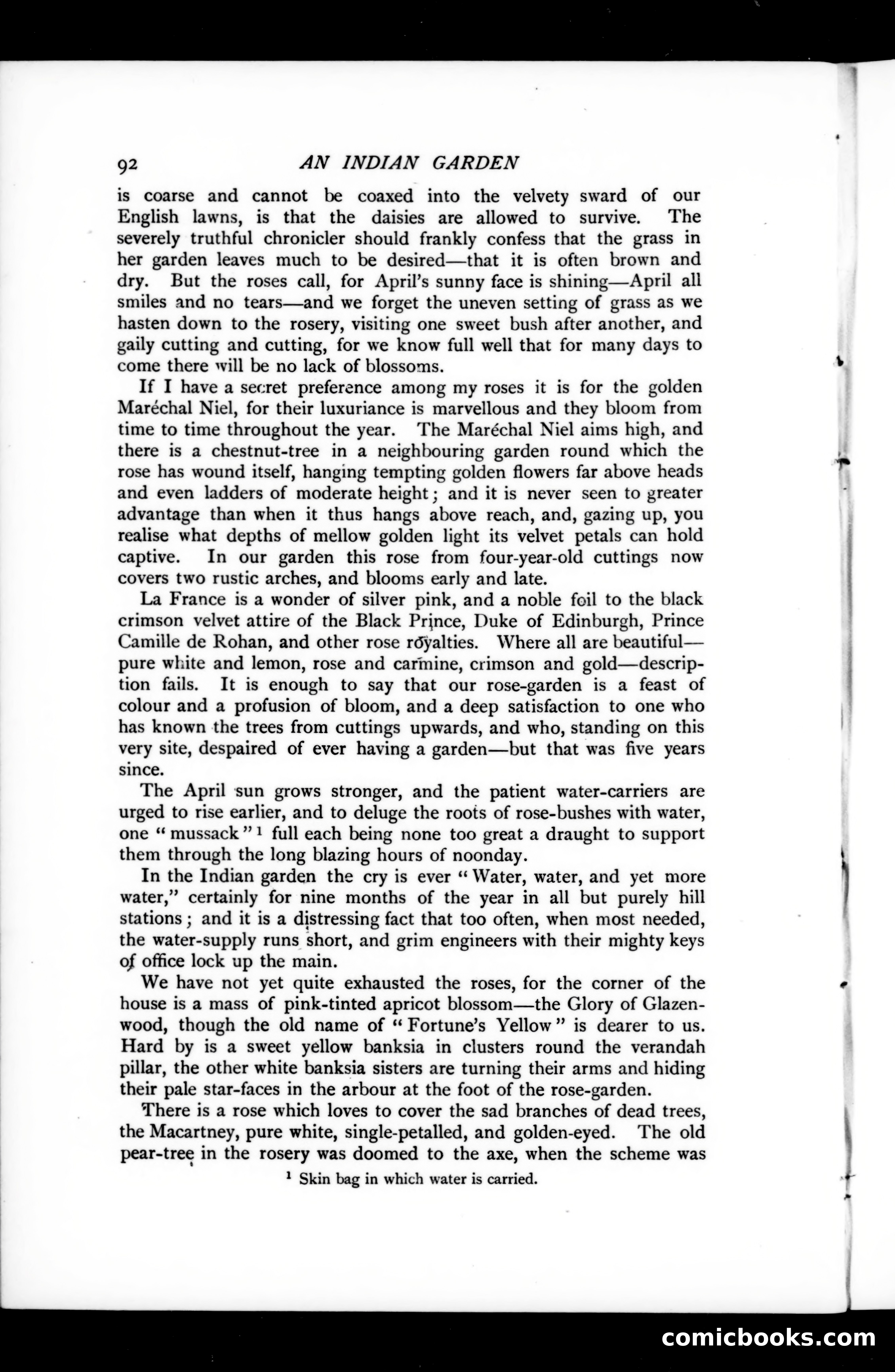 The Argosy, Vol. 73 — page 98 of 127