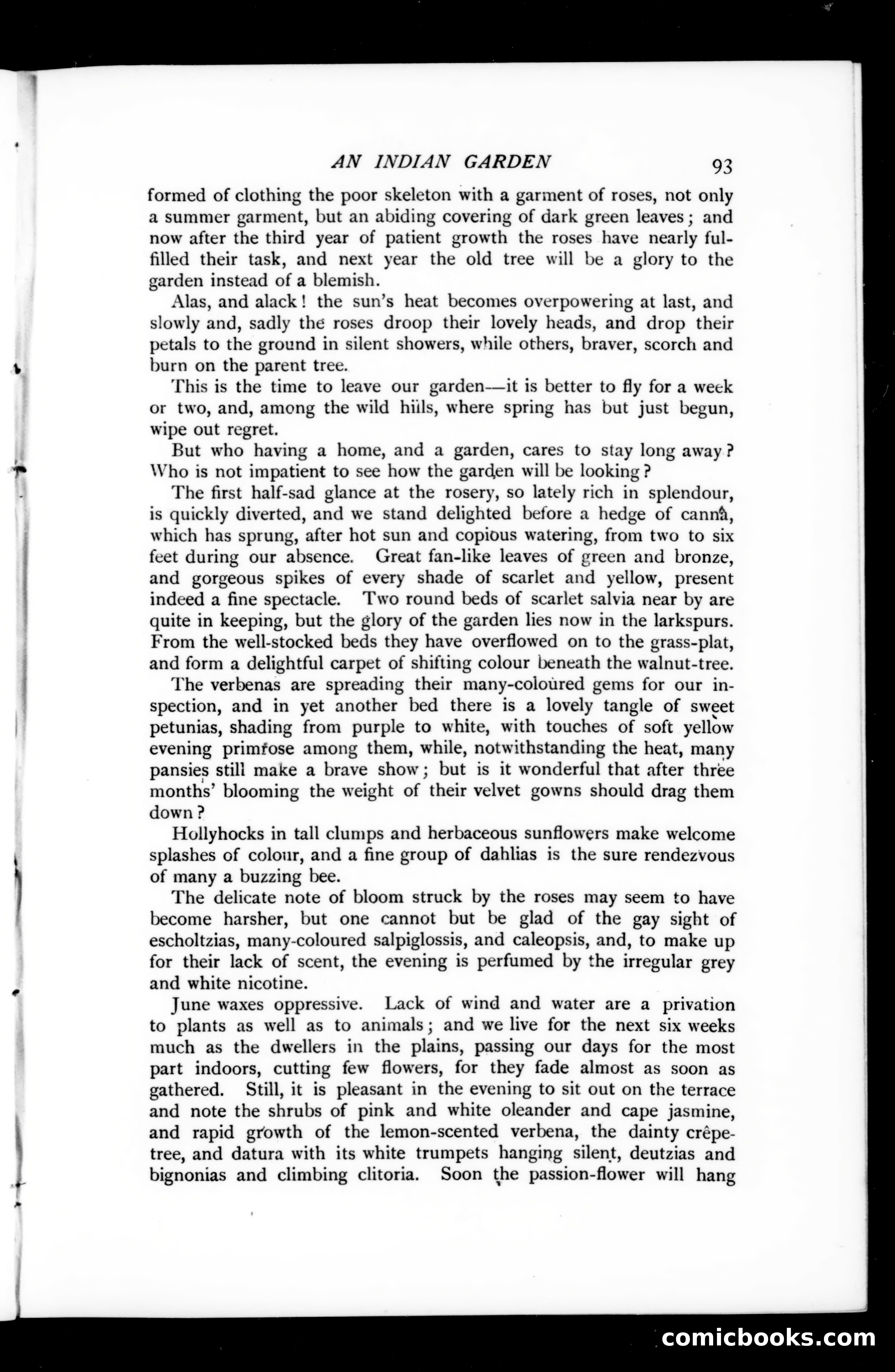 The Argosy, Vol. 73 — page 99 of 127