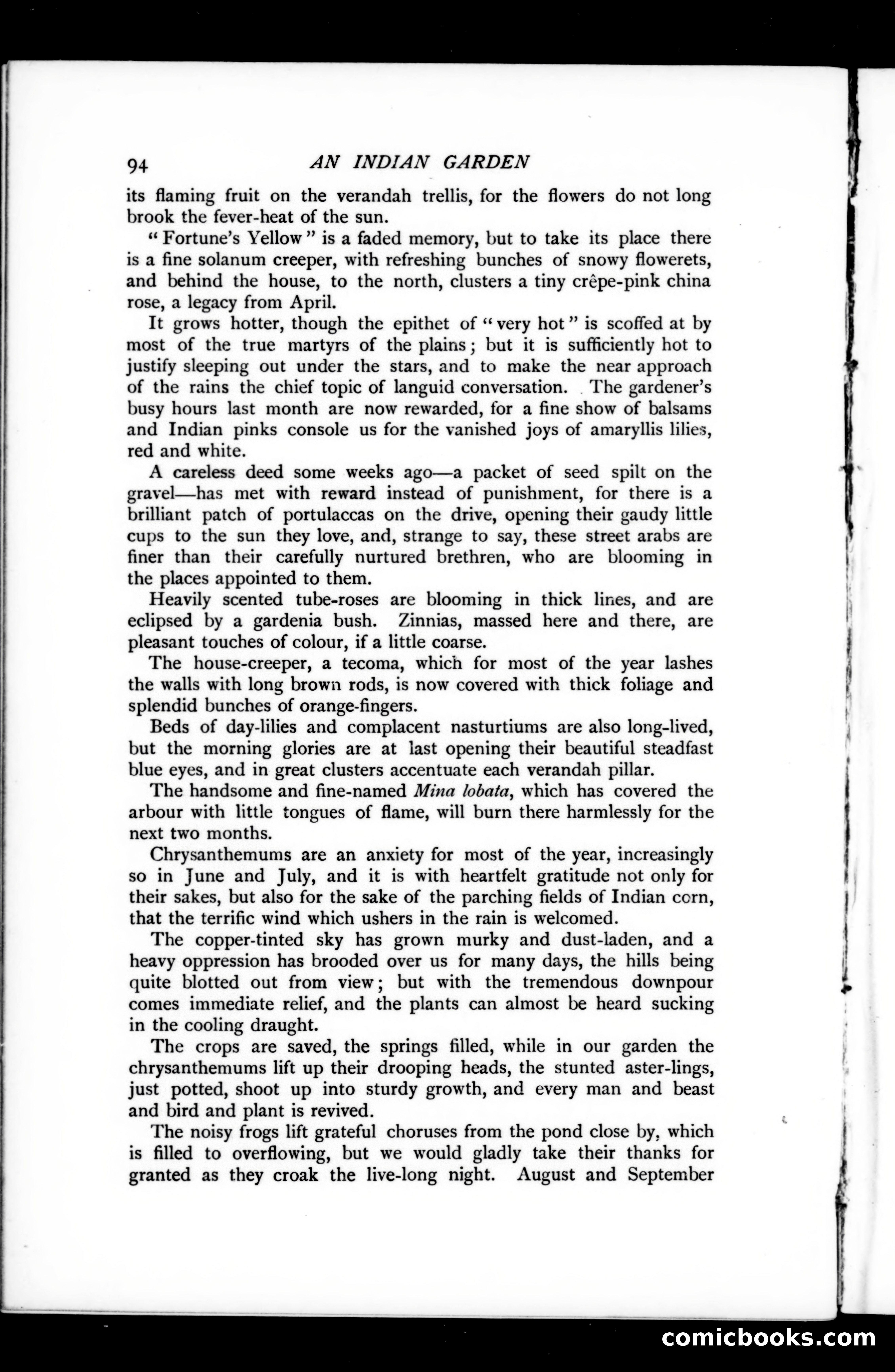 The Argosy, Vol. 73 — page 100 of 127