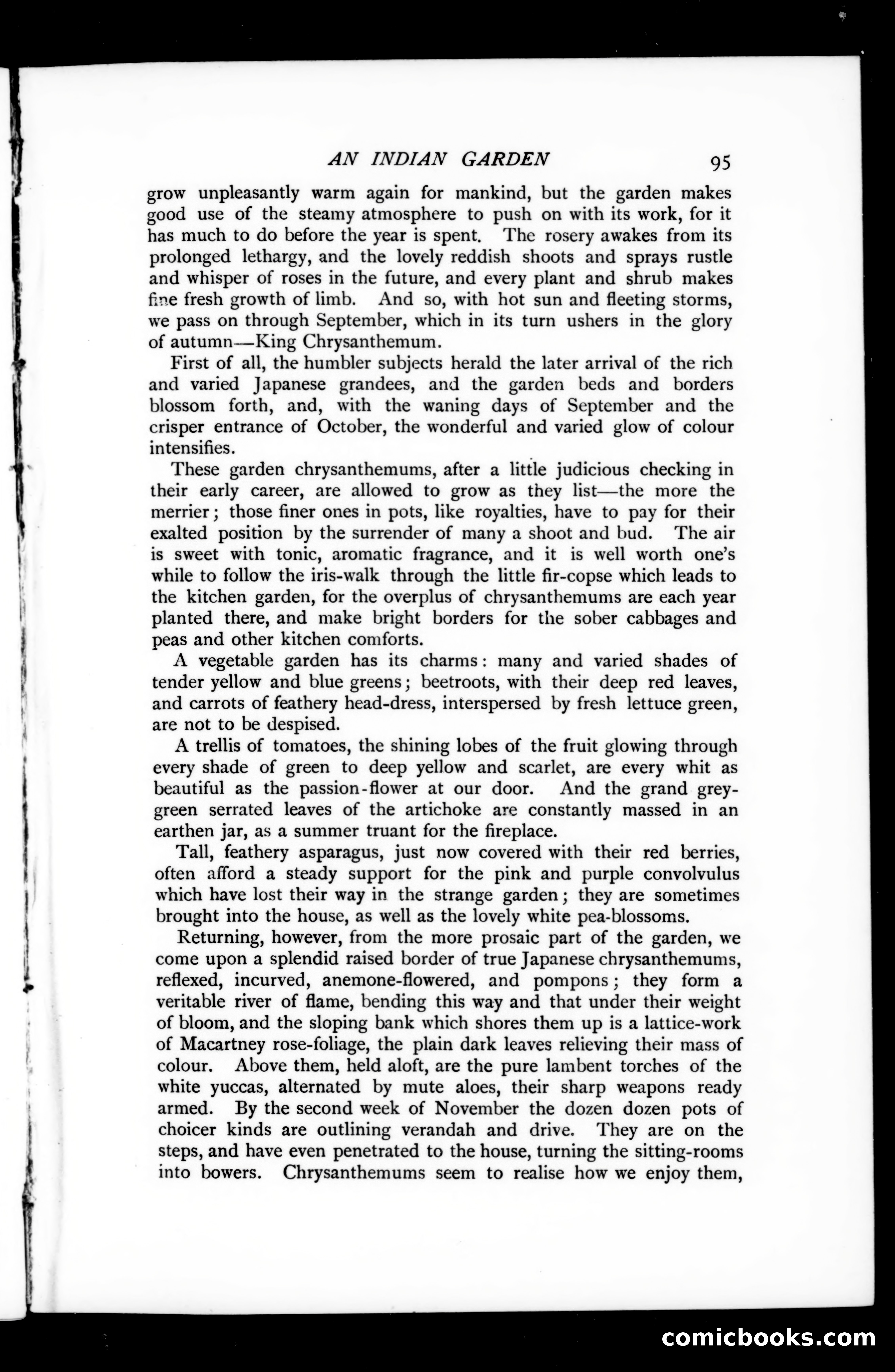 The Argosy, Vol. 73 — page 101 of 127