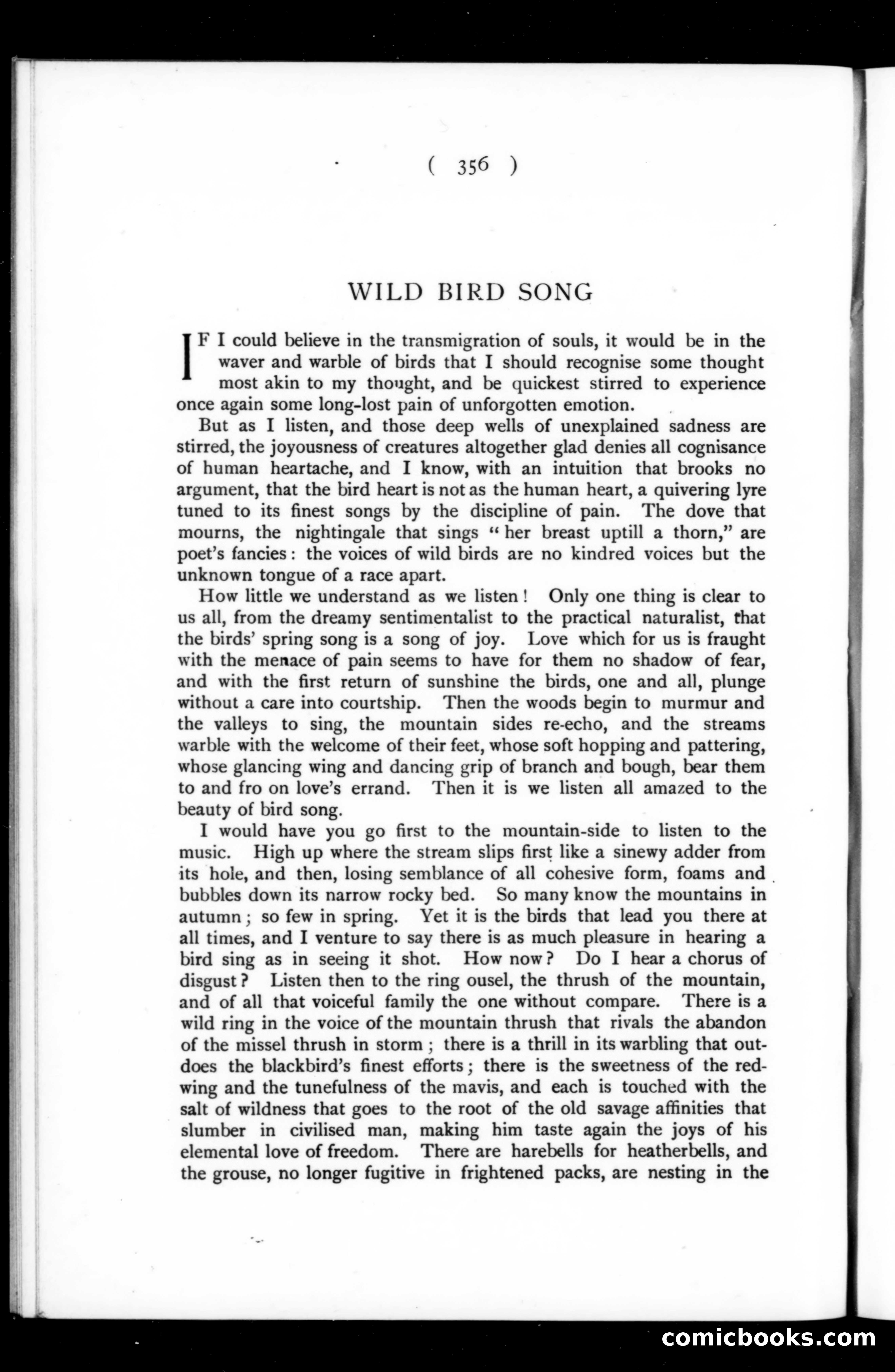 The Argosy, Vol. 73 — page 132 of 137