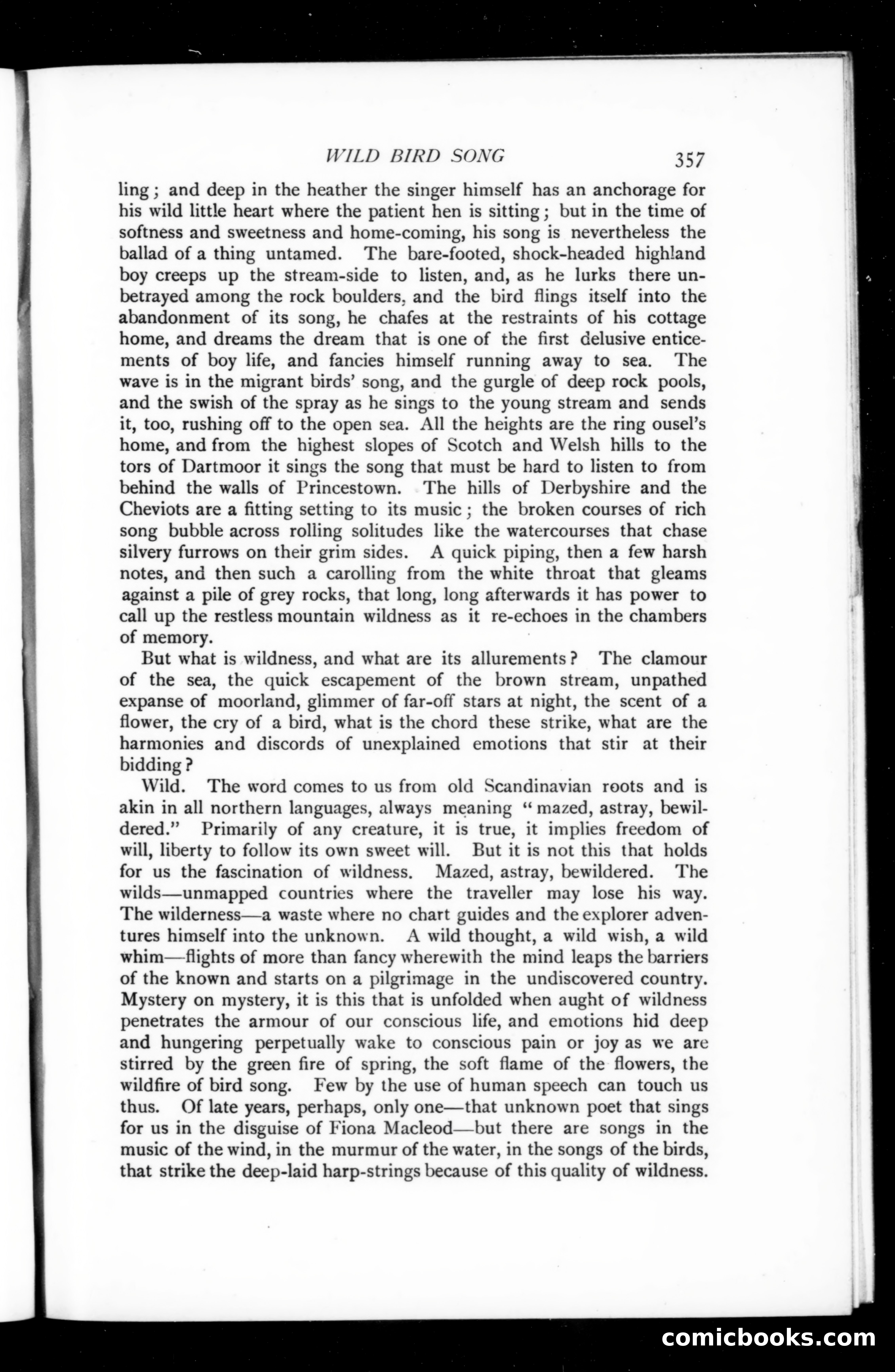 The Argosy, Vol. 73 — page 133 of 137