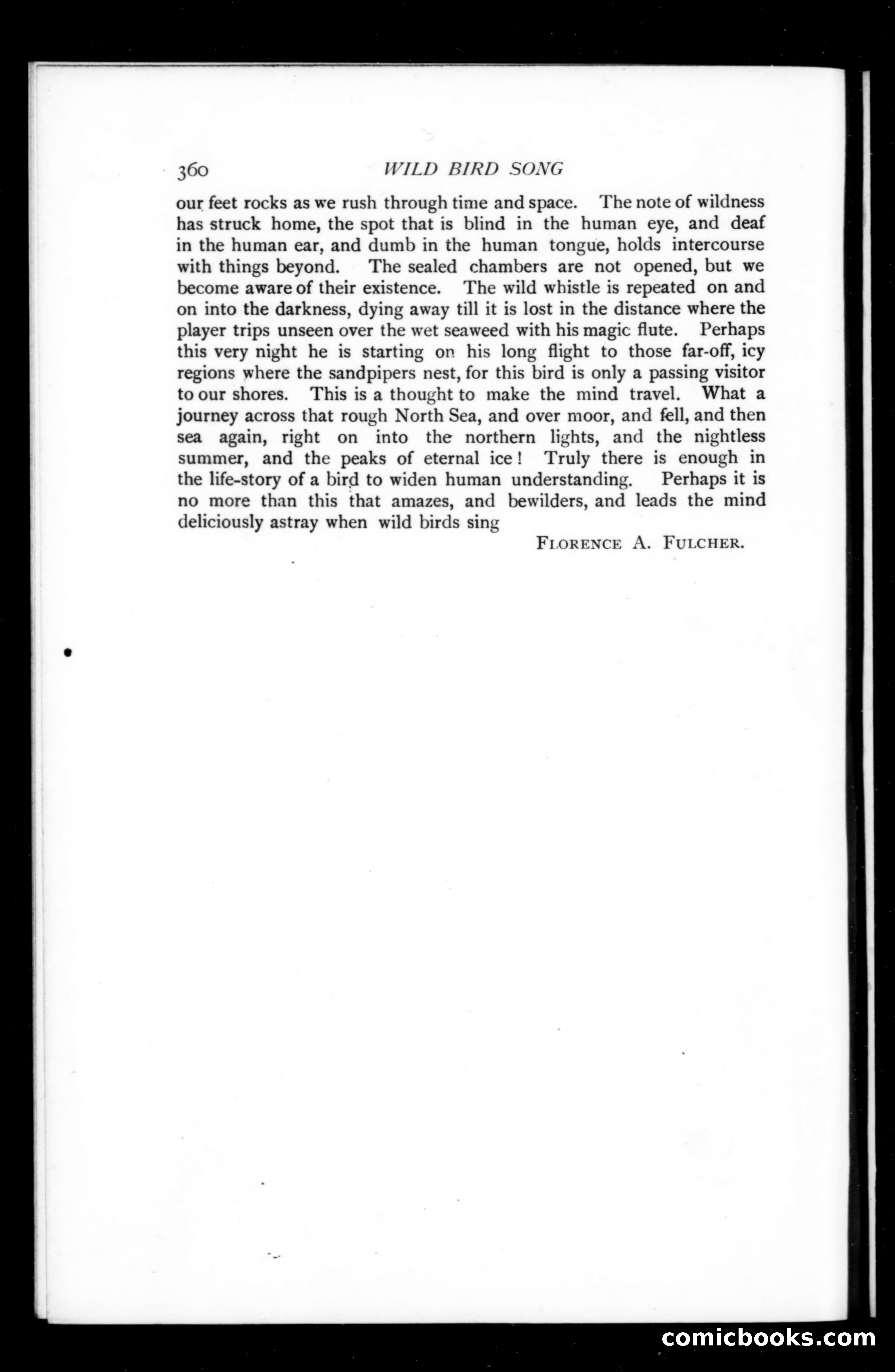 The Argosy, Vol. 73 — page 136 of 137