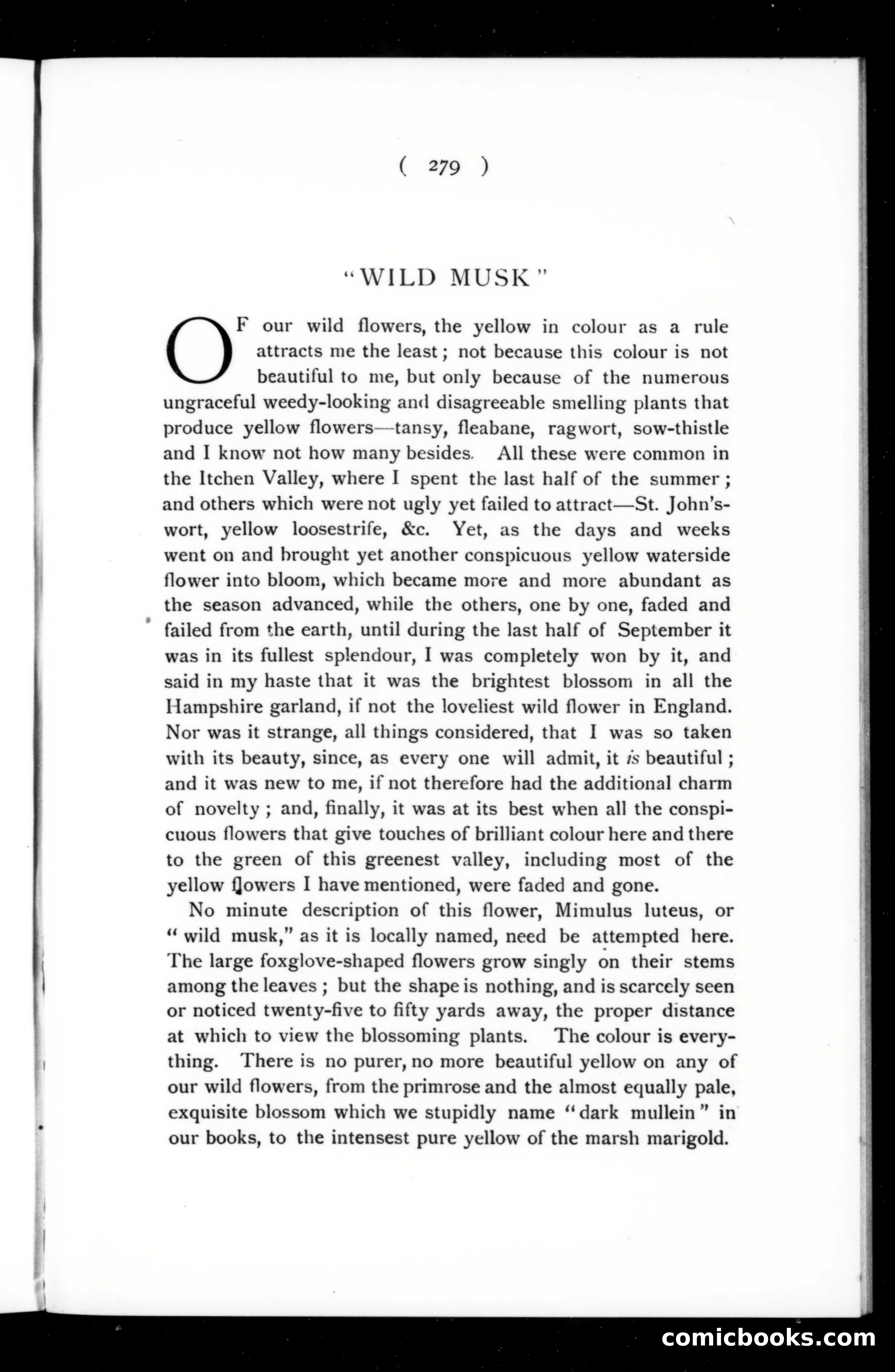 The Argosy, Vol. 74 — page 43 of 117