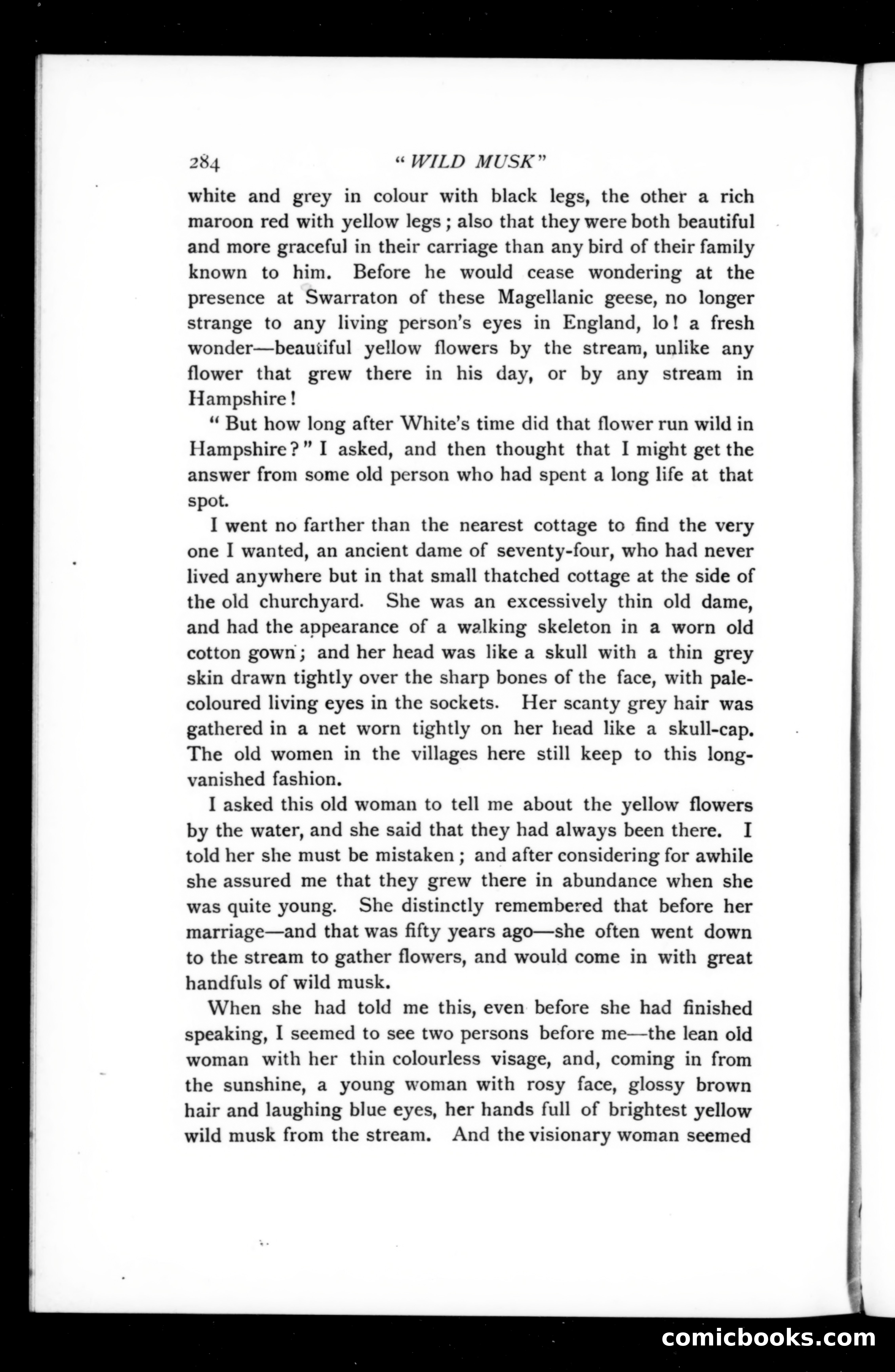 The Argosy, Vol. 74 — page 48 of 117
