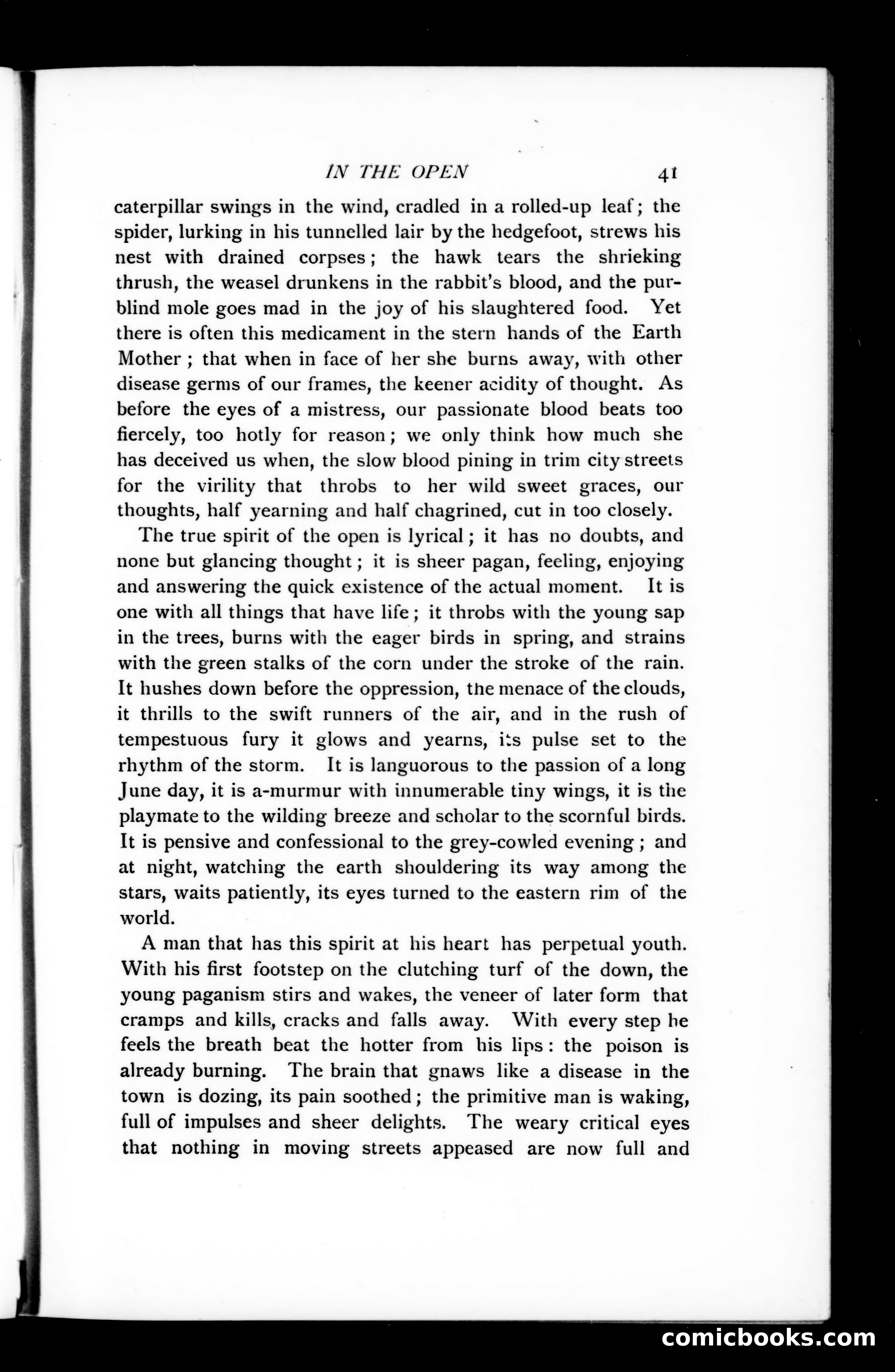 The Argosy, Vol. 75 — page 41 of 121