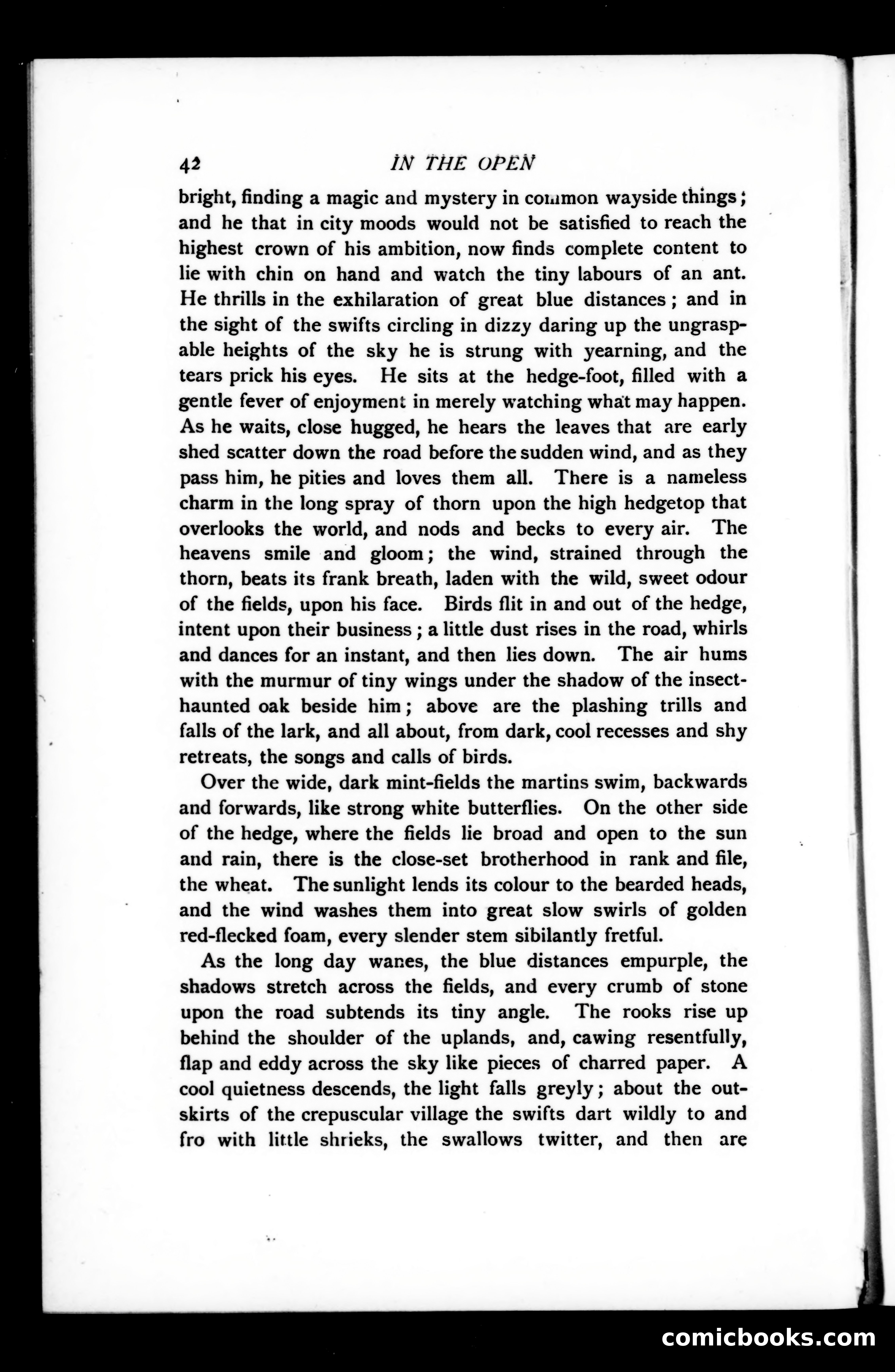 The Argosy, Vol. 75 — page 42 of 121