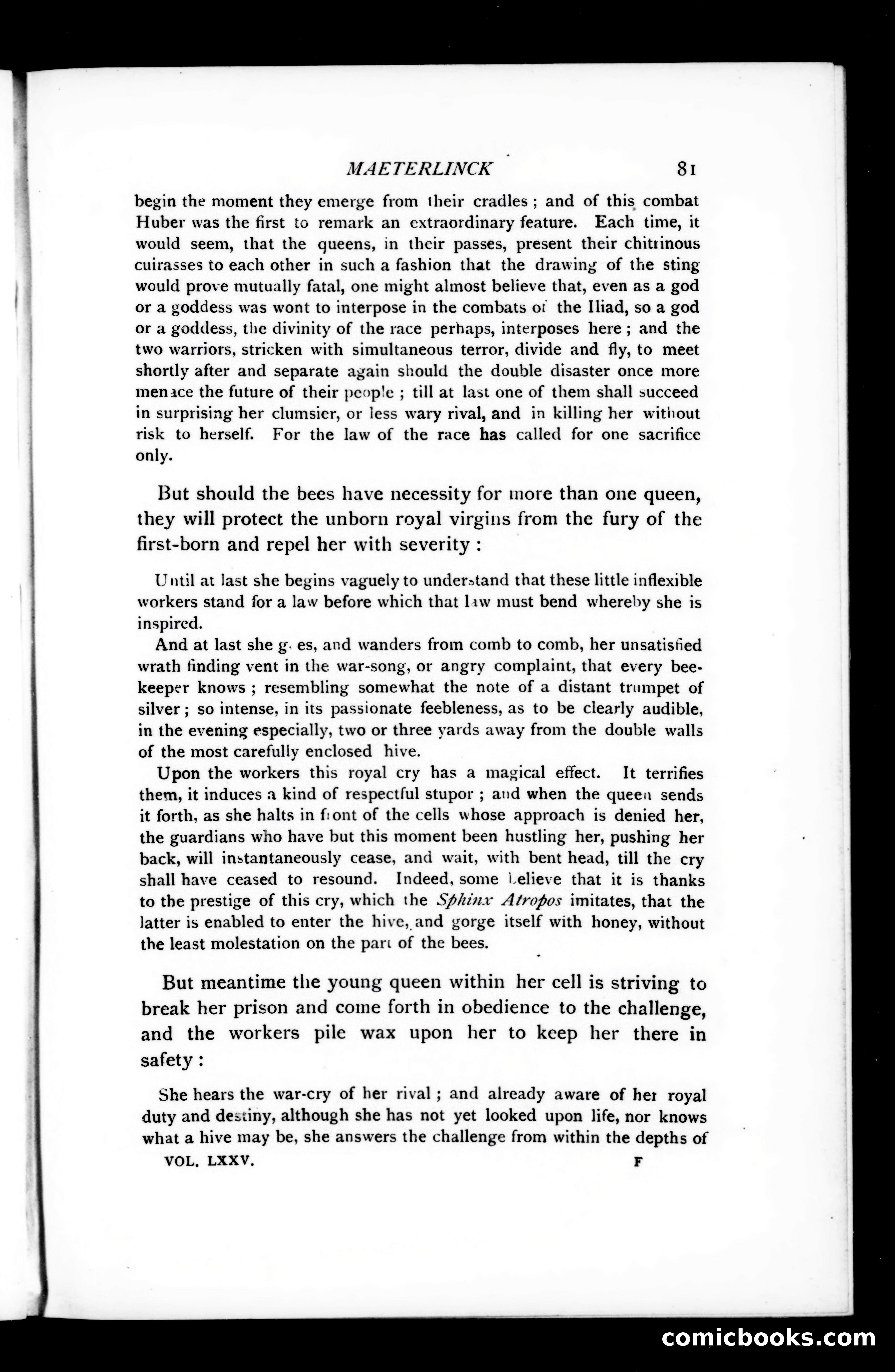 The Argosy, Vol. 75 — page 81 of 121