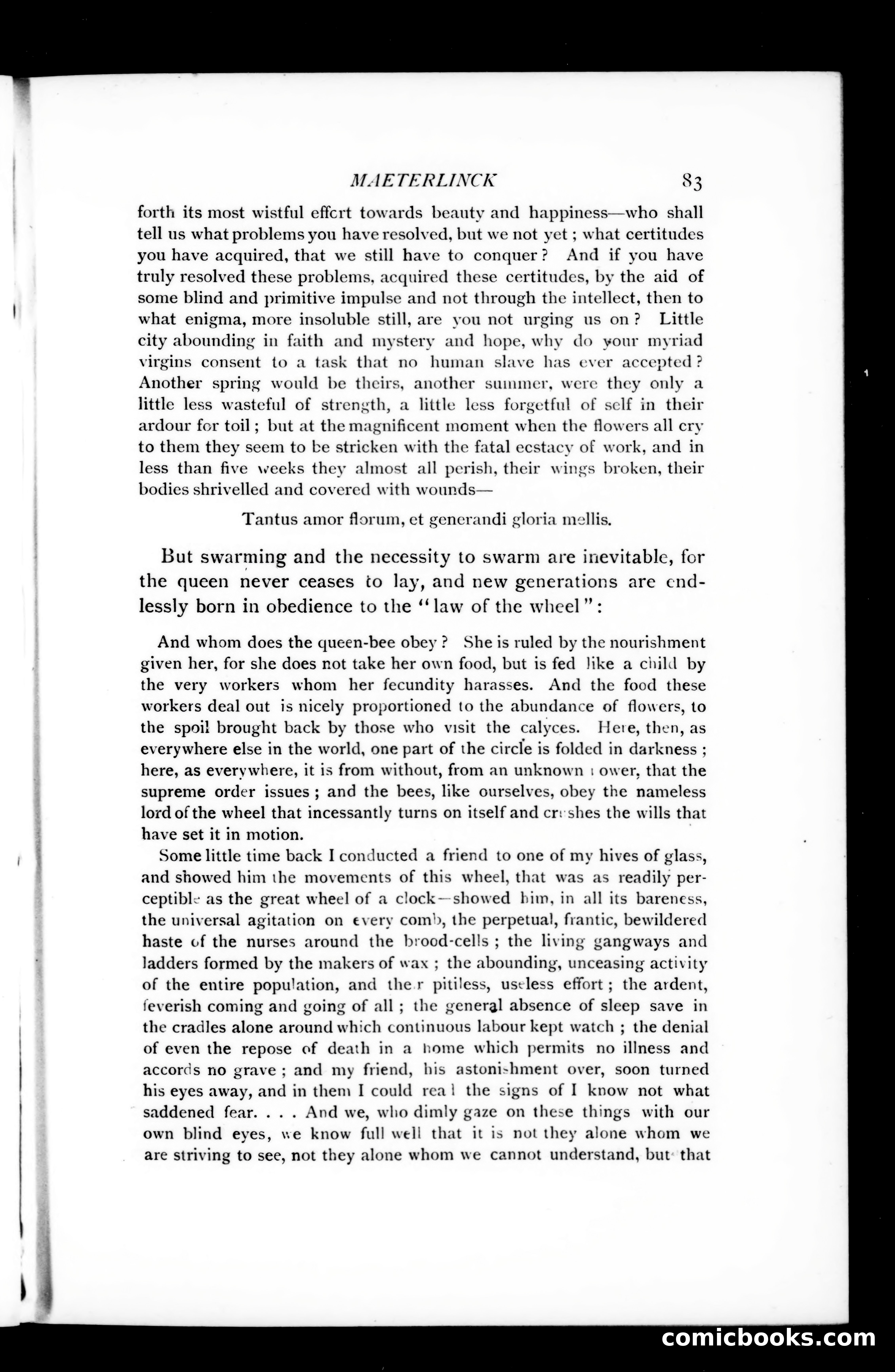 The Argosy, Vol. 75 — page 83 of 121