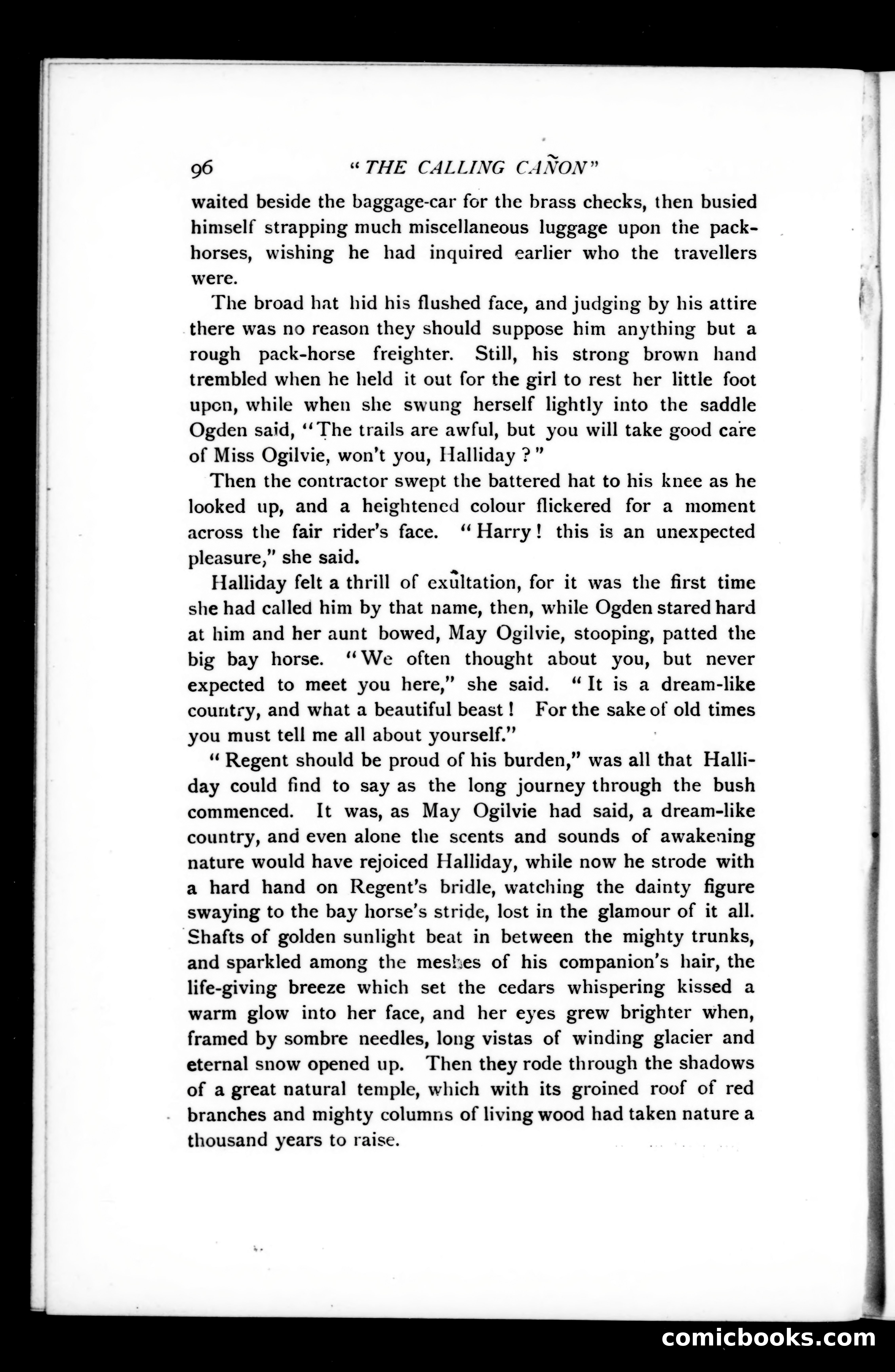 The Argosy, Vol. 75 — page 96 of 121