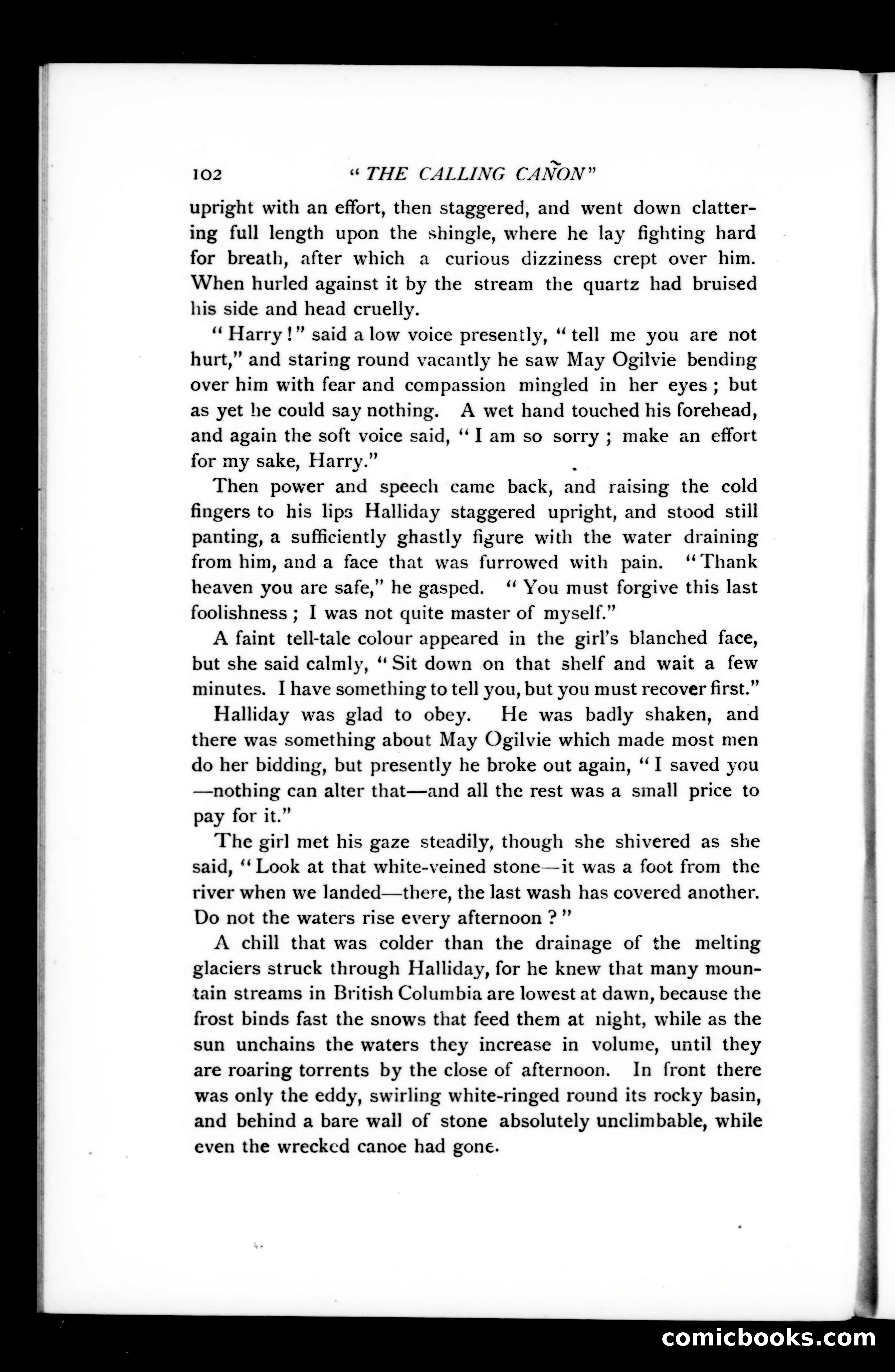 The Argosy, Vol. 75 — page 102 of 121