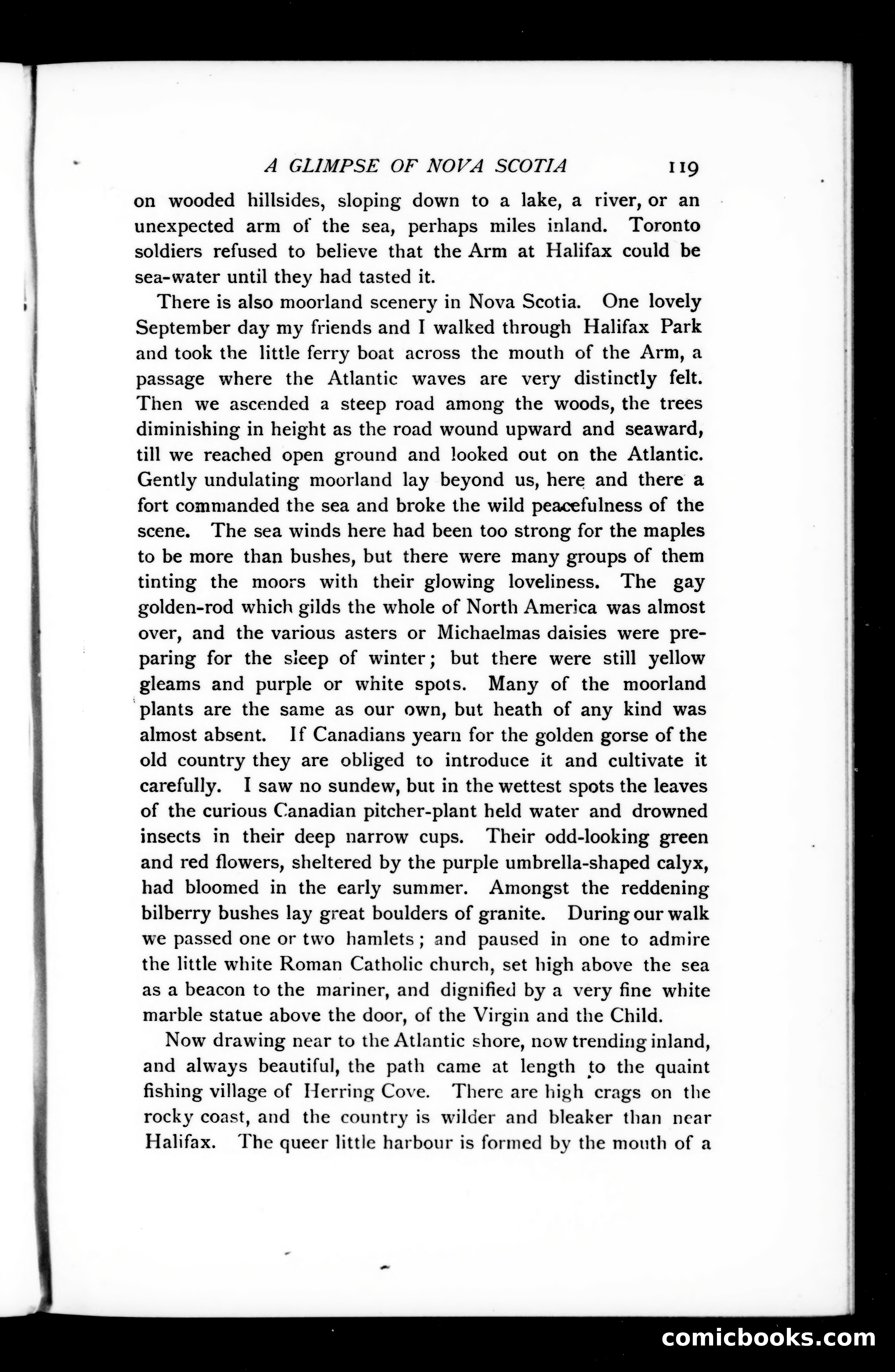 The Argosy, Vol. 75 — page 119 of 121