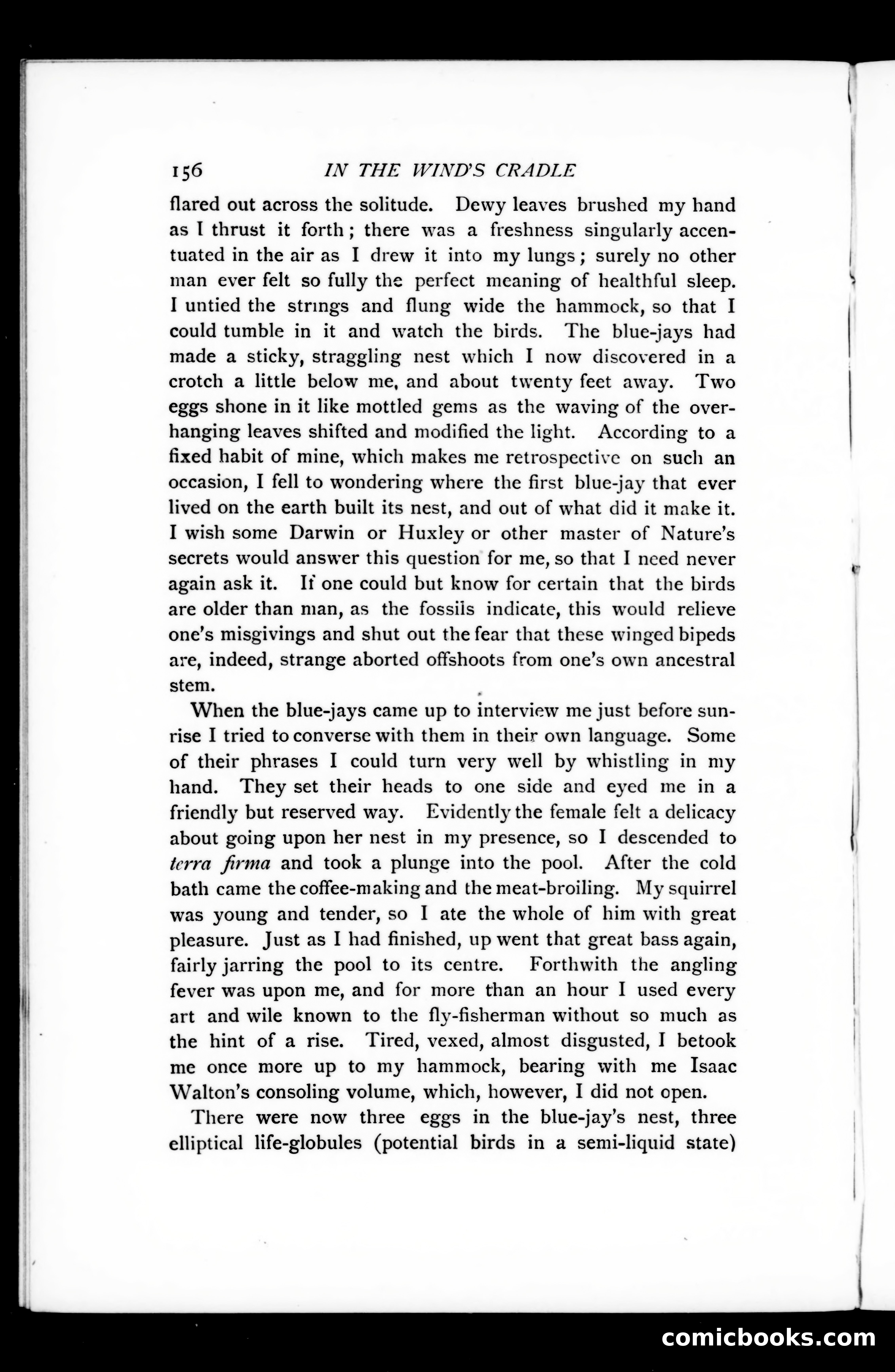 The Argosy, Vol. LXXV — page 36 of 125