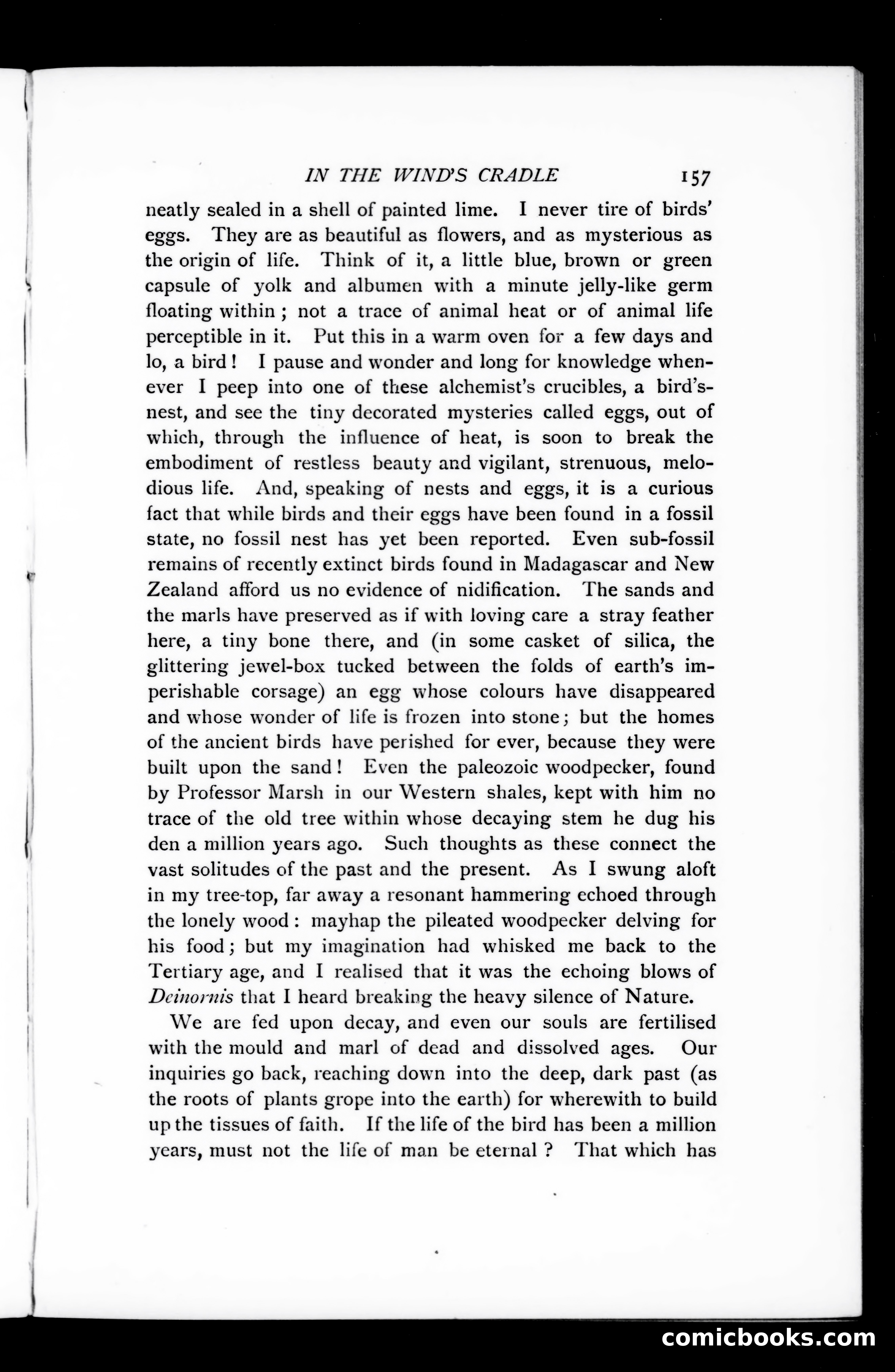 The Argosy, Vol. LXXV — page 37 of 125