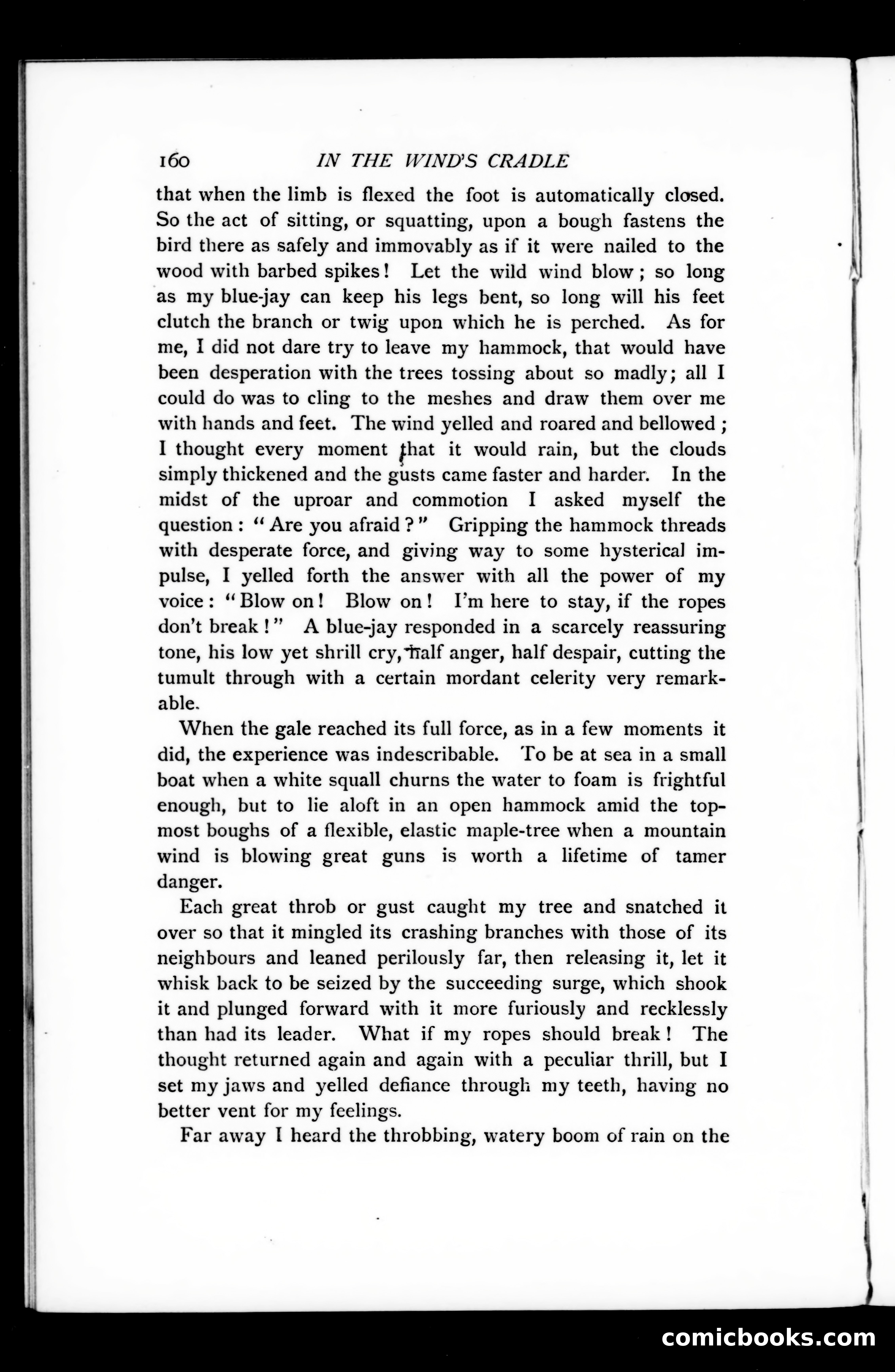 The Argosy, Vol. LXXV — page 40 of 125