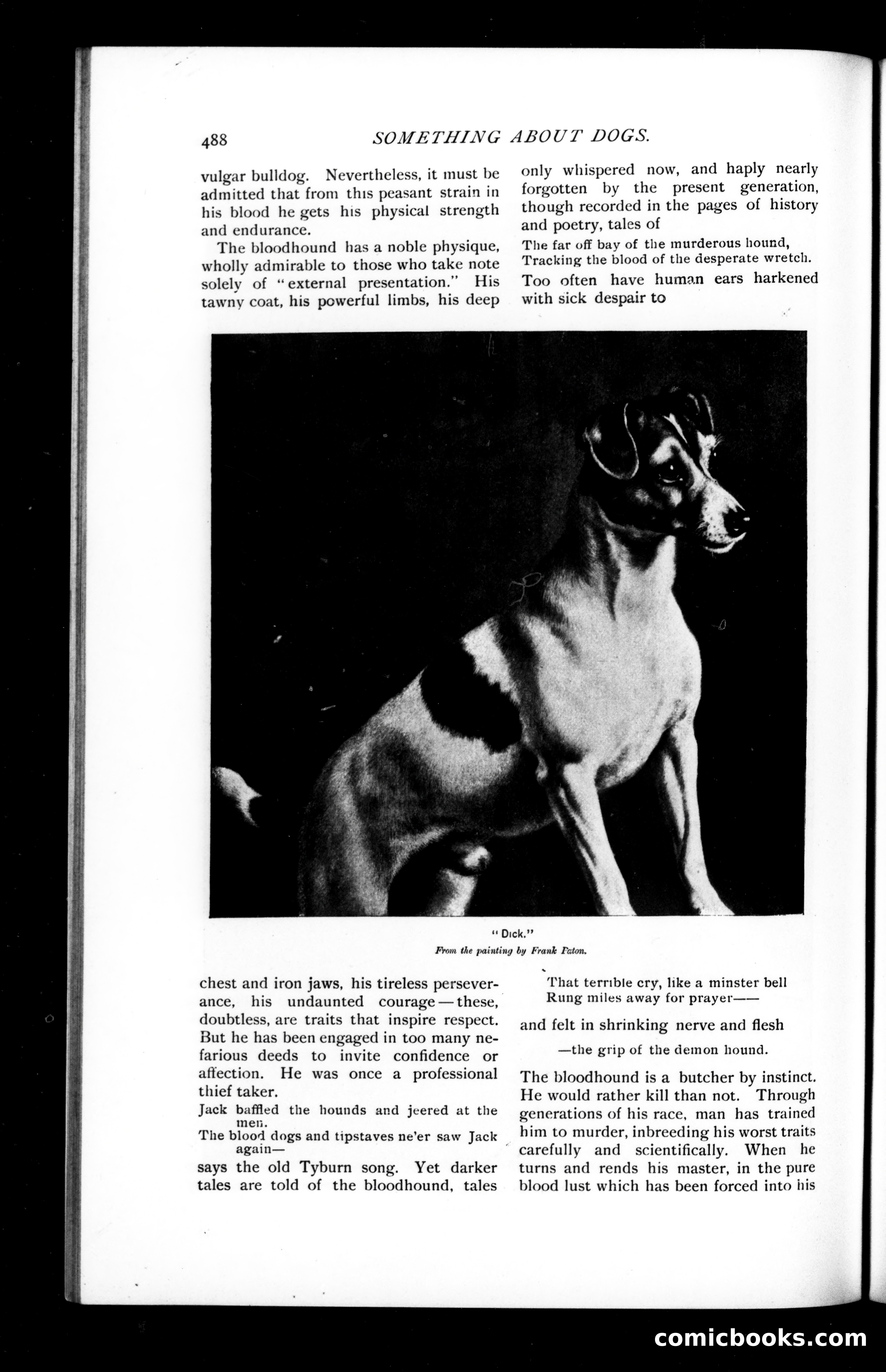 Munsey's Magazine, February 1894 — page 38 of 114