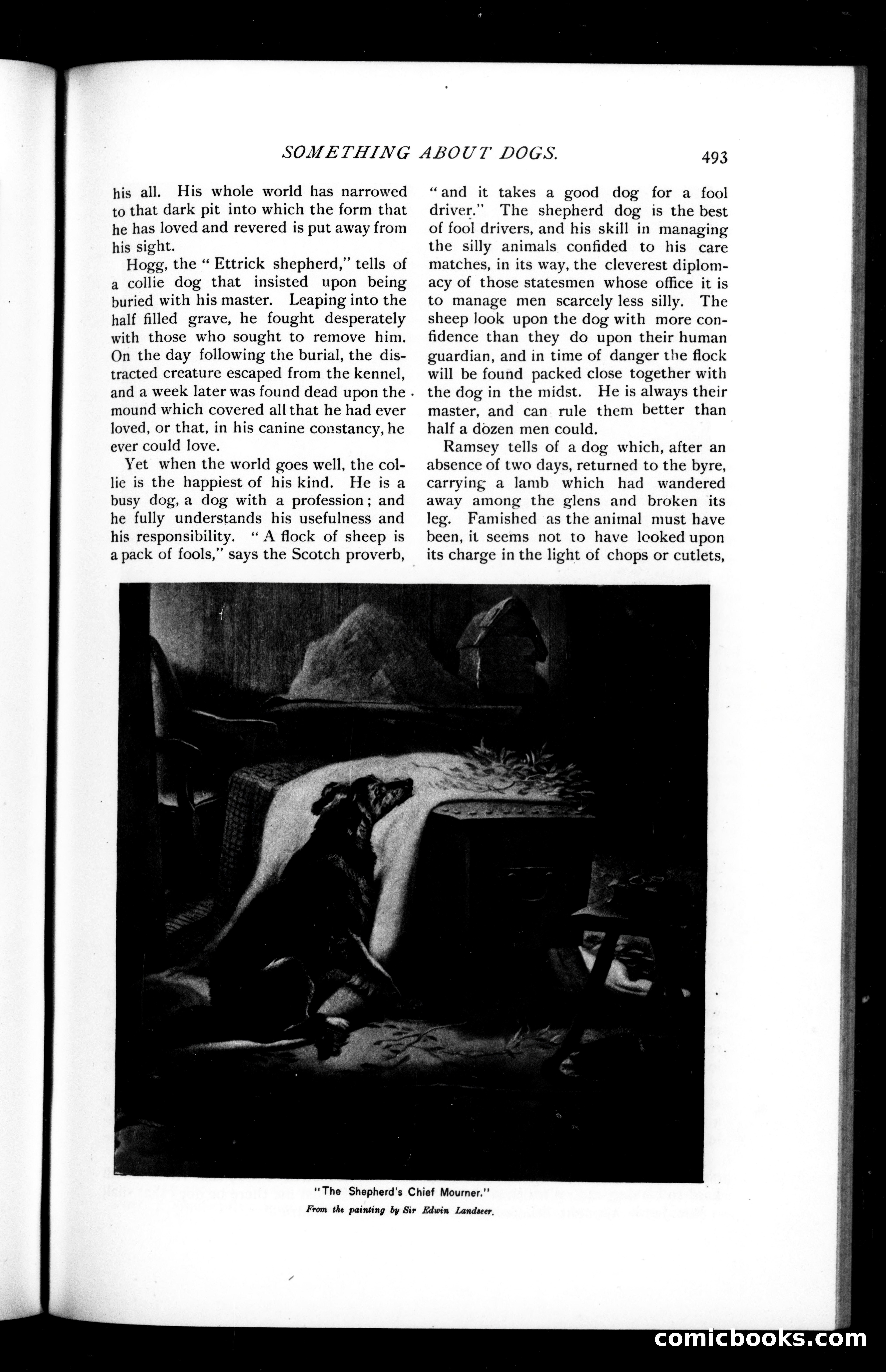 Munsey's Magazine, February 1894 — page 43 of 114