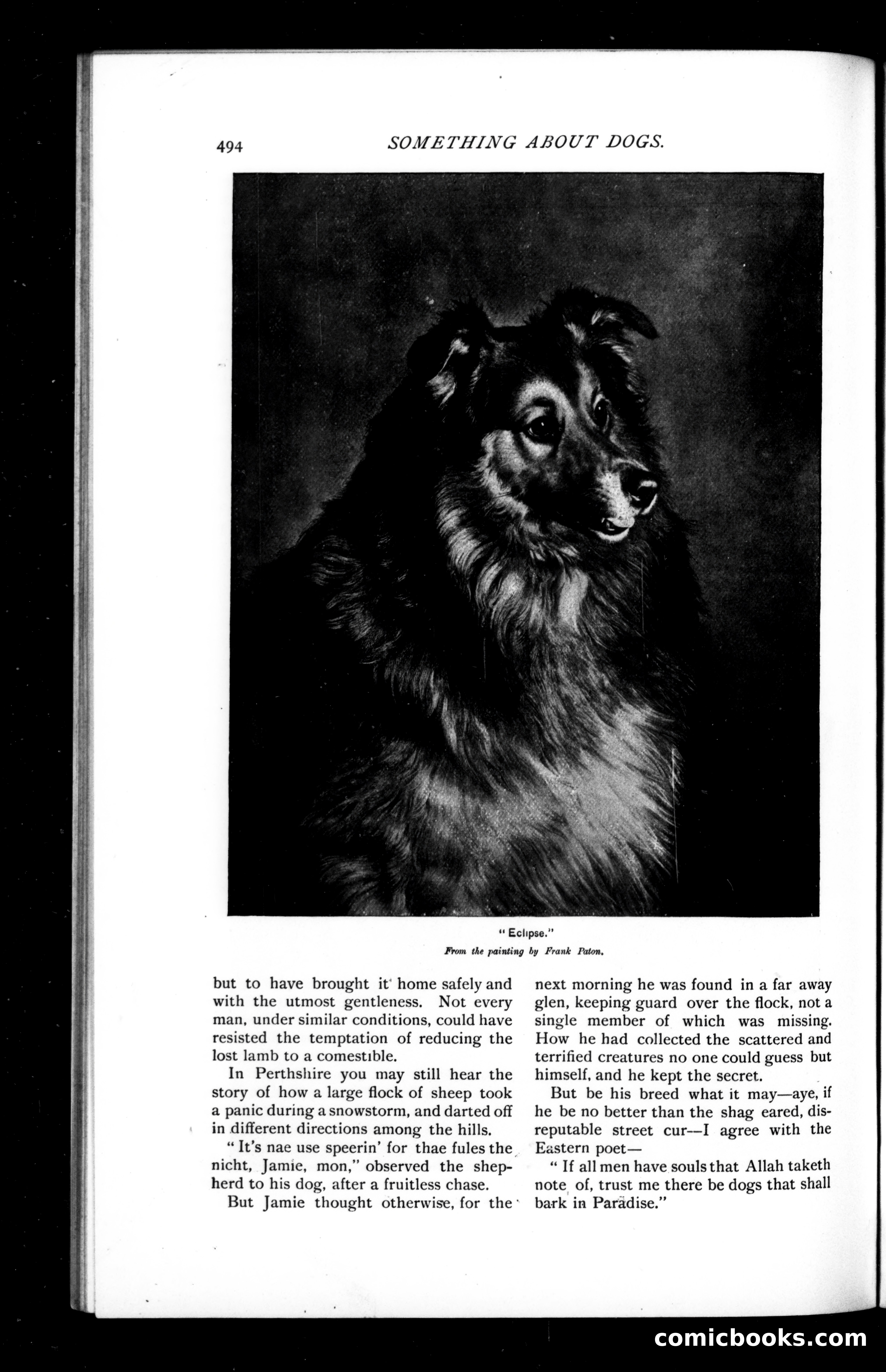 Munsey's Magazine, February 1894 — page 44 of 114