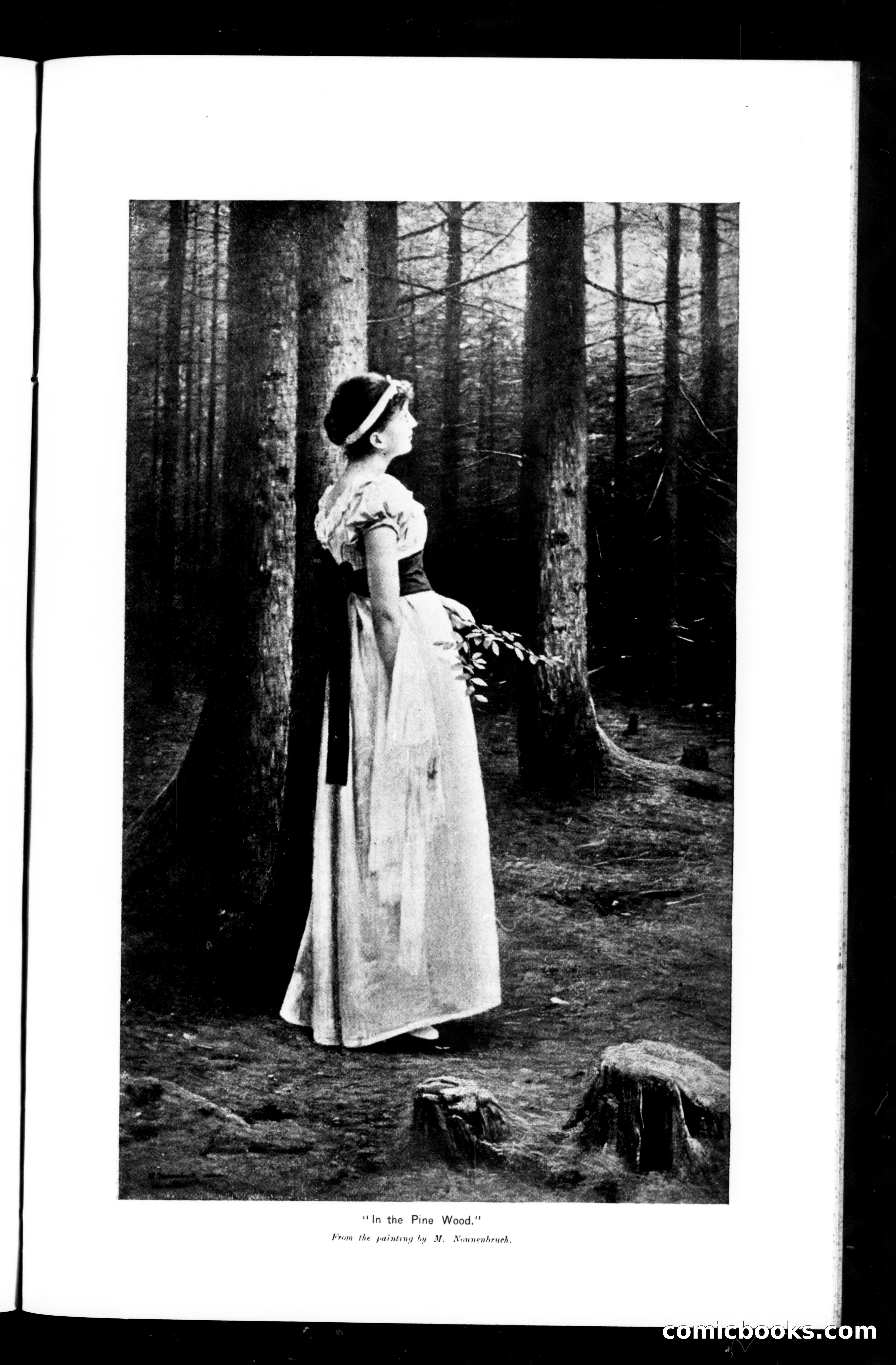 Munsey's Magazine, March 1894 — page 13 of 131
