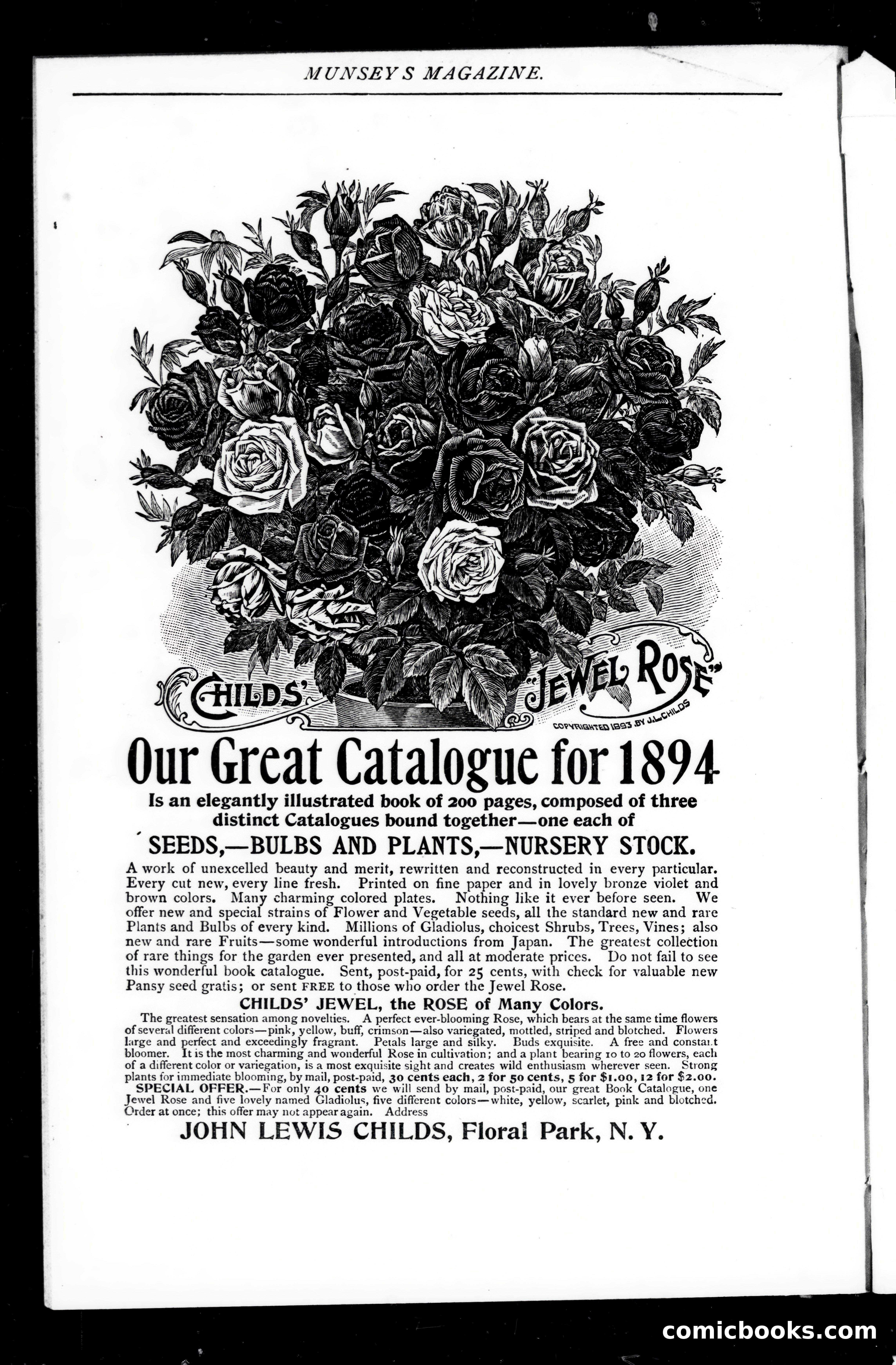 Munsey's Magazine, March 1894 — page 124 of 131