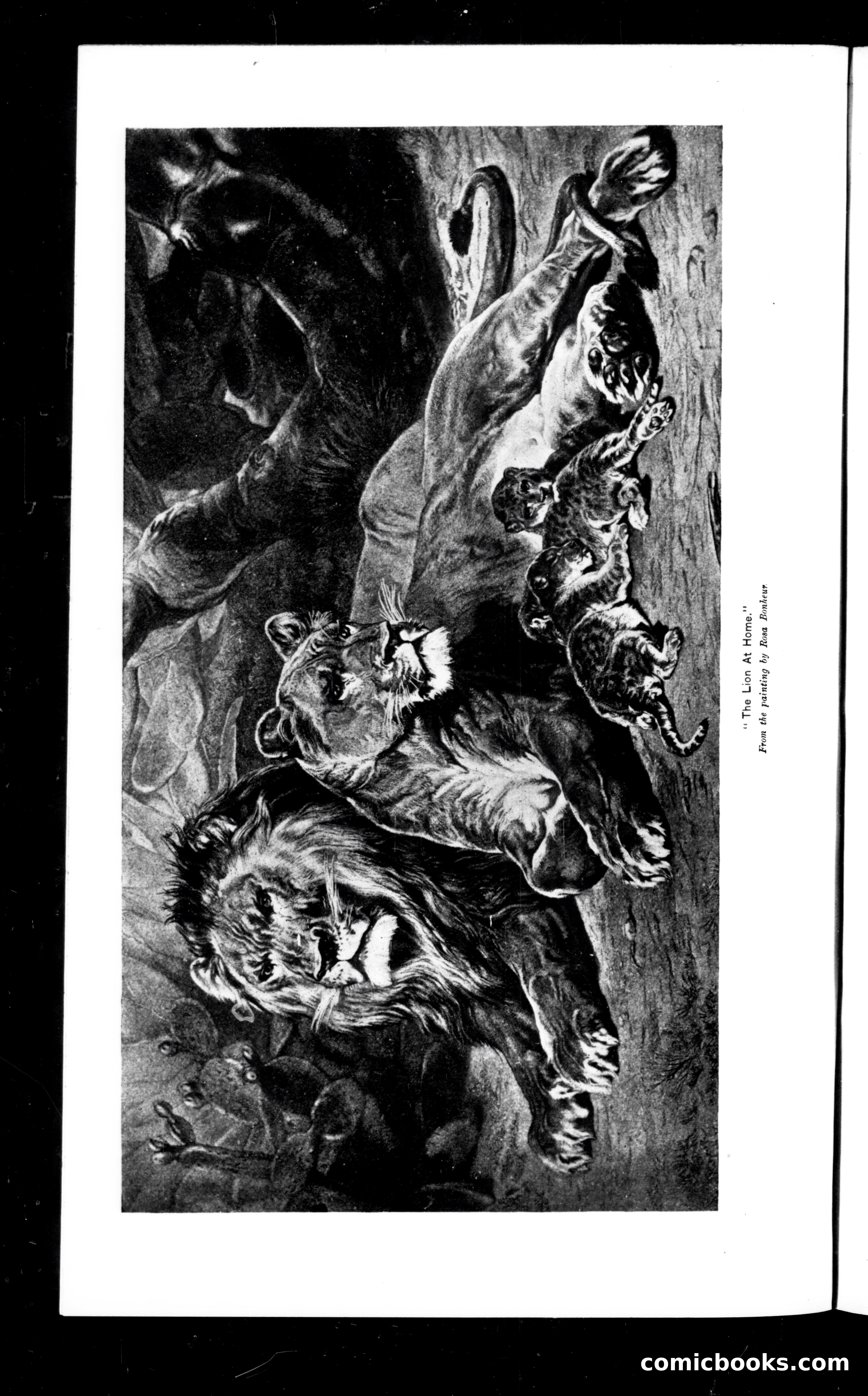 Munsey's Magazine, April 1894 — page 62 of 112