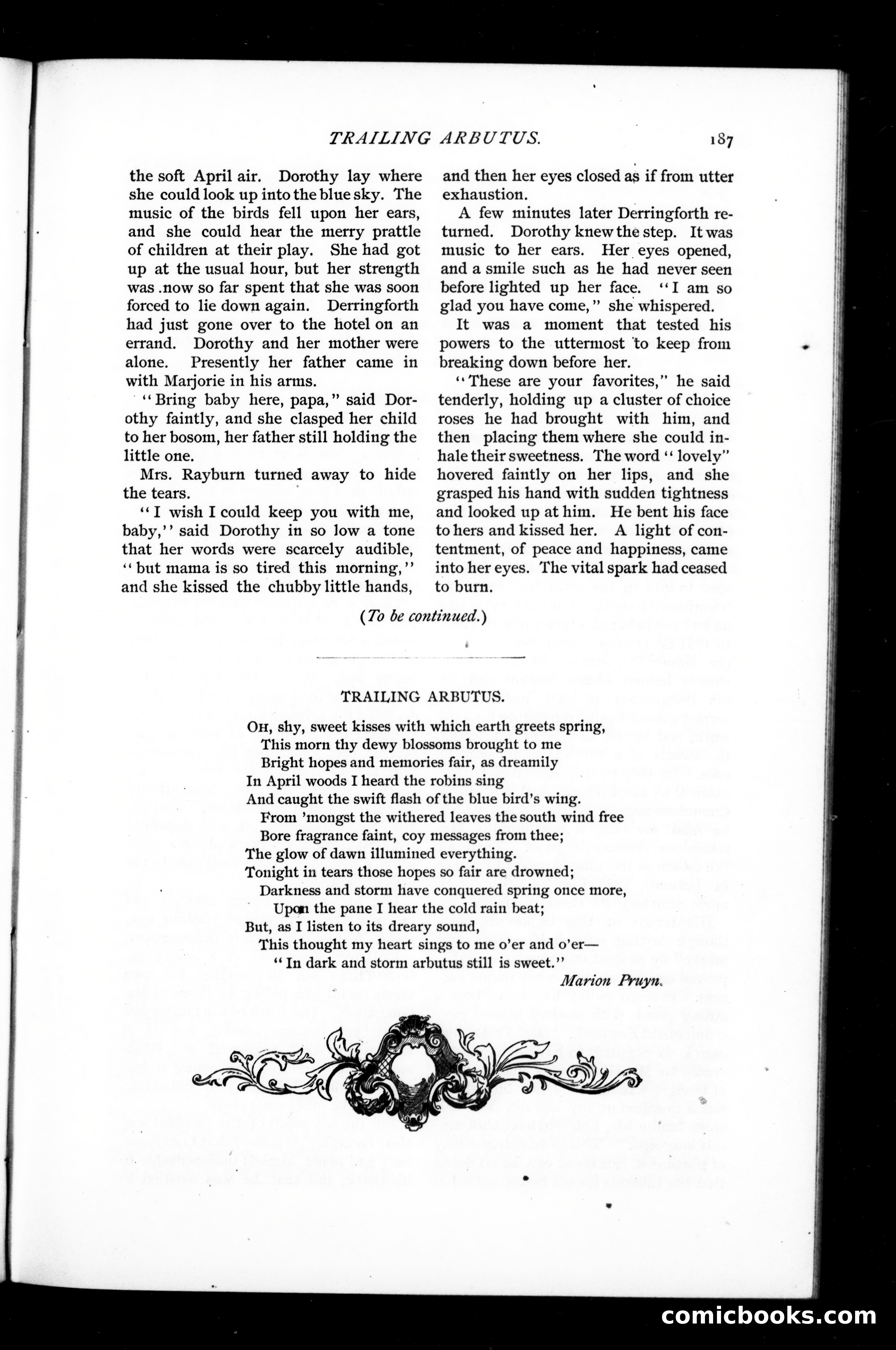 Munsey's Magazine, May 1894 — page 75 of 112
