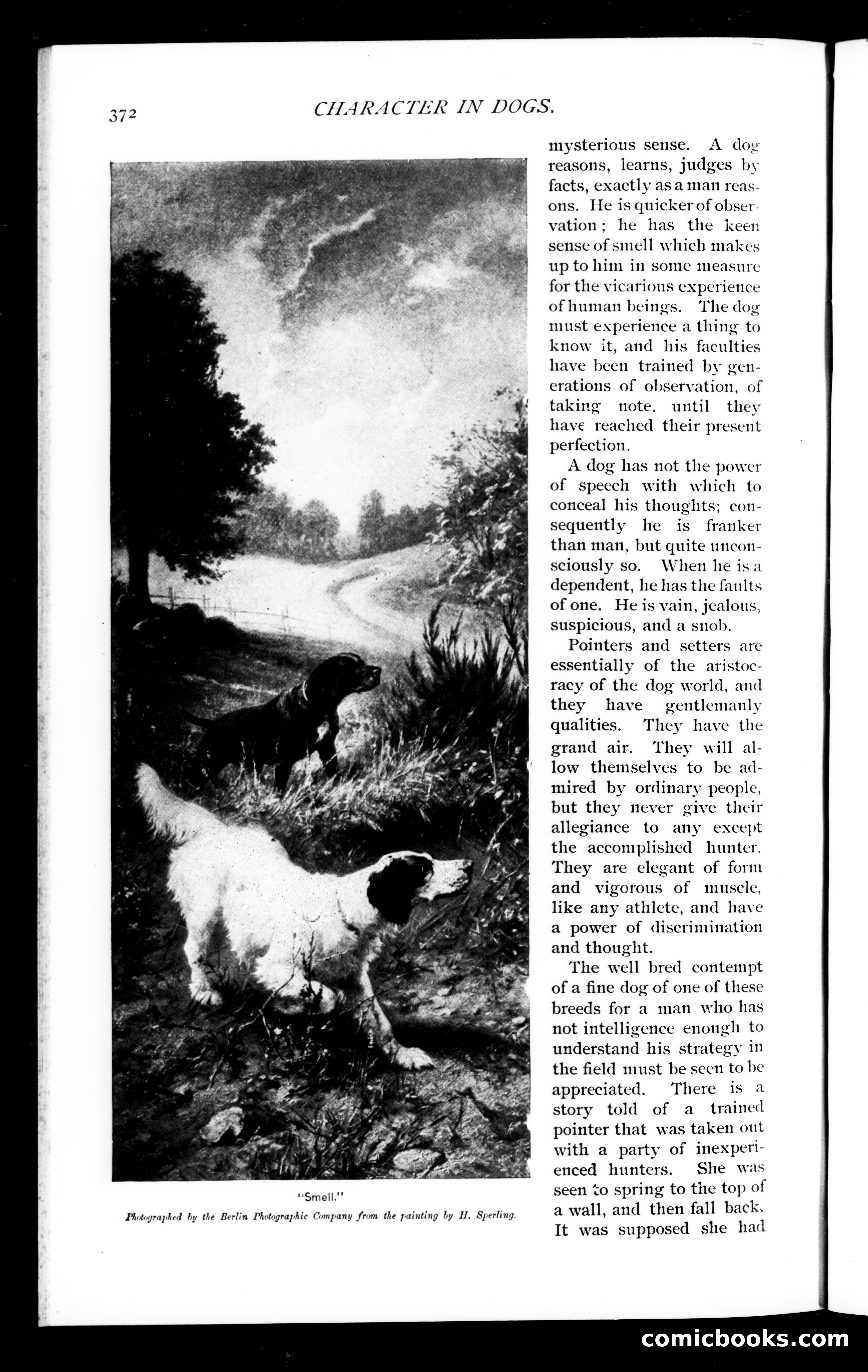 Munsey's Magazine, July 1894 — page 36 of 112