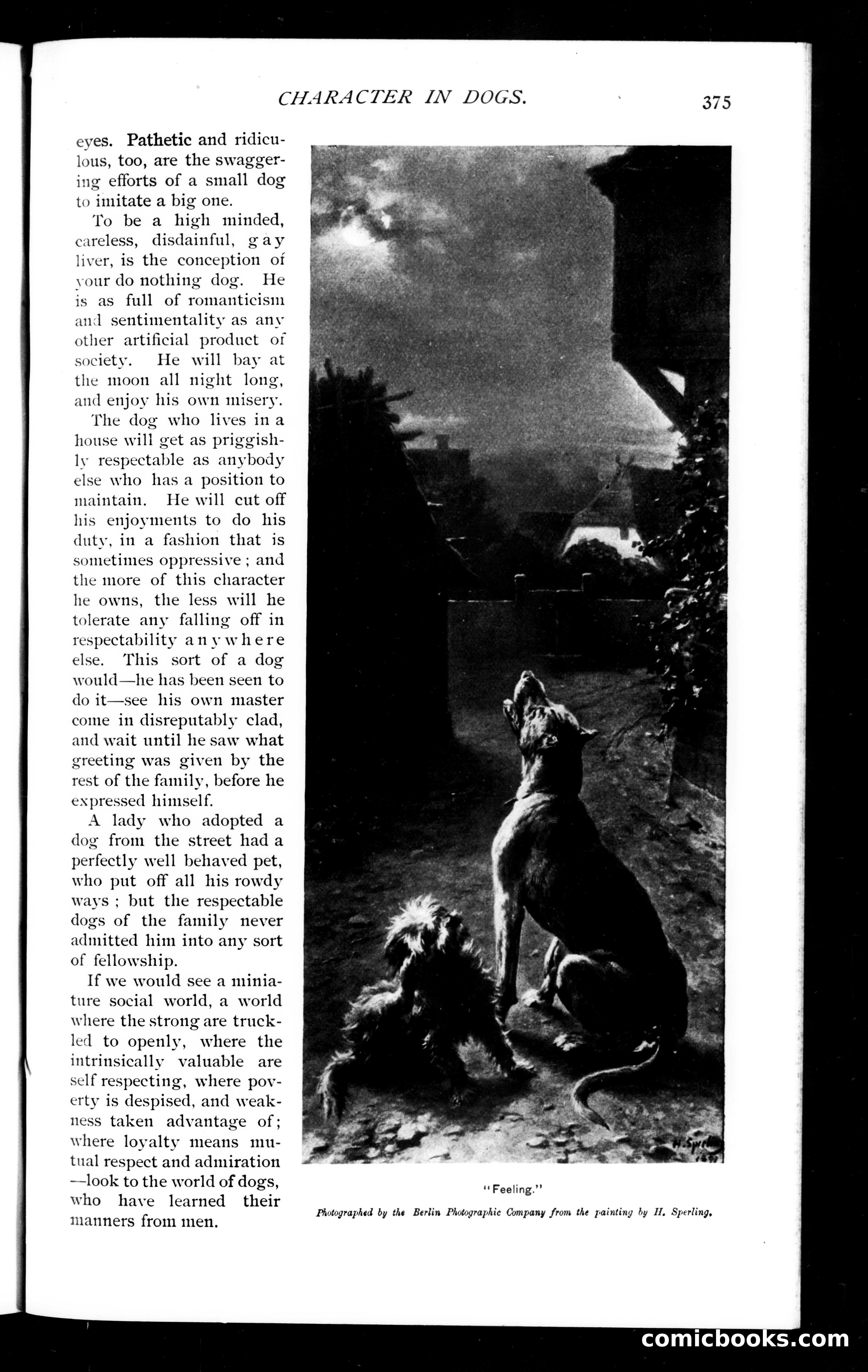 Munsey's Magazine, July 1894 — page 39 of 112
