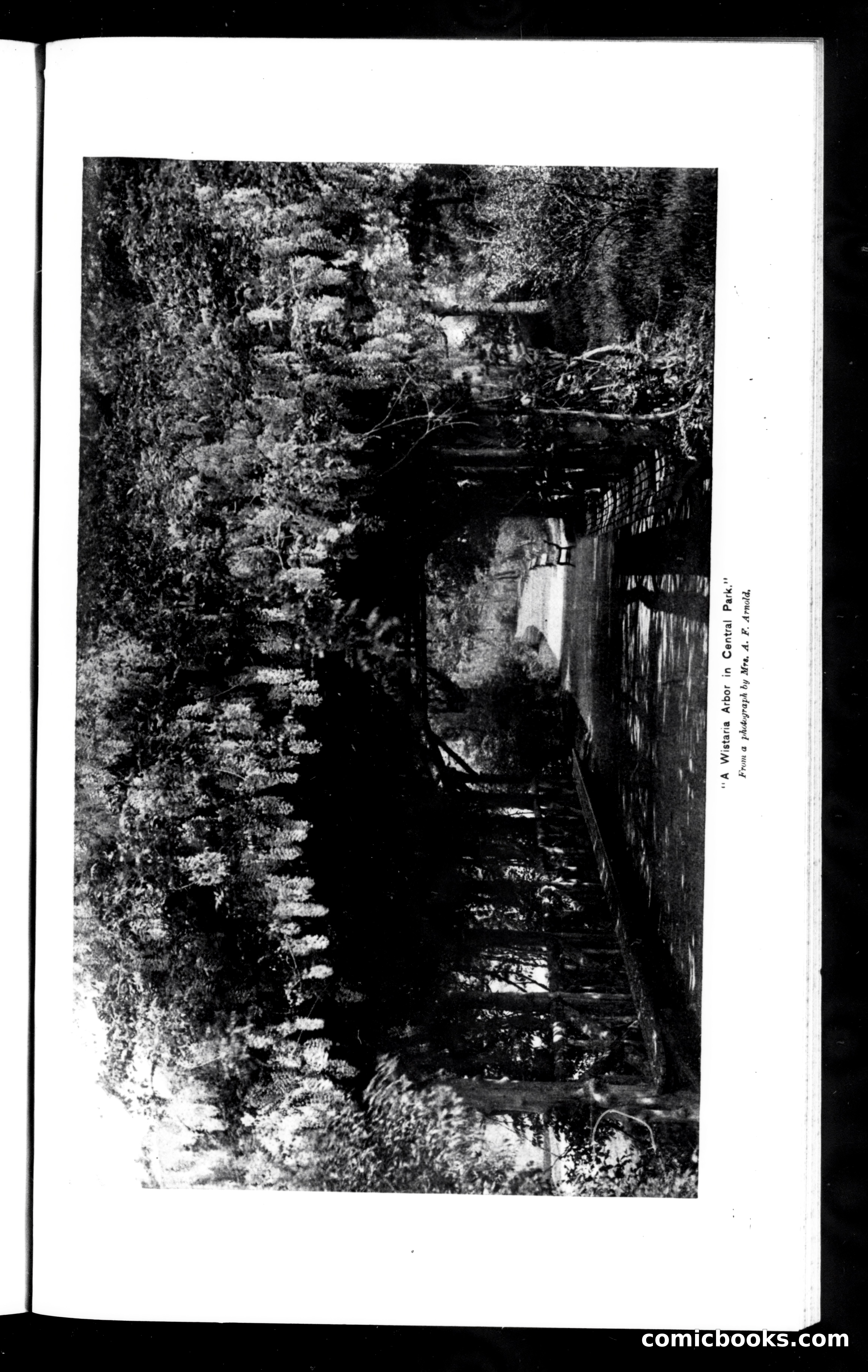 Munsey's Magazine, July 1894 — page 71 of 112