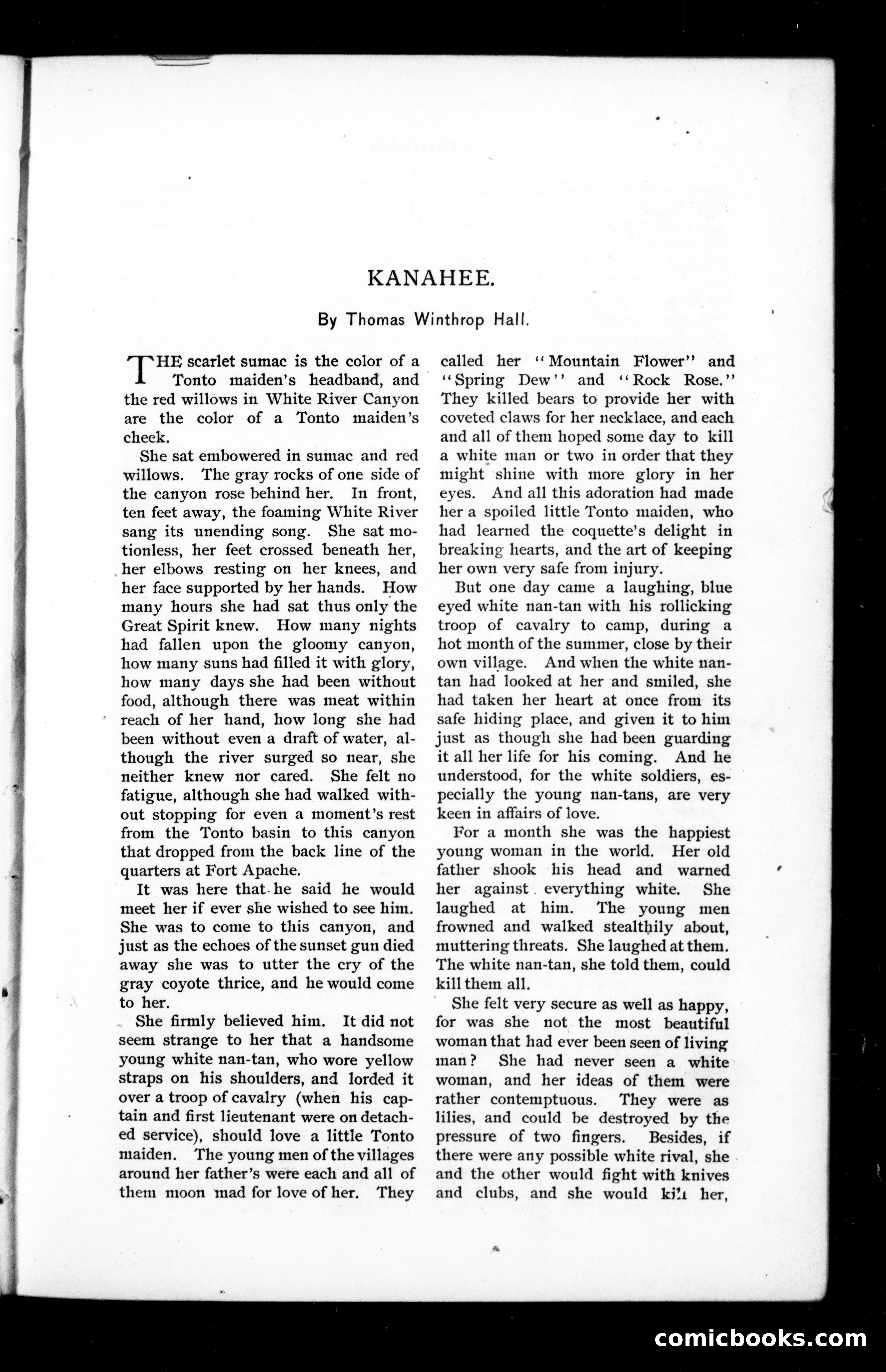 Munsey's Magazine, October 1894 — page 17 of 112