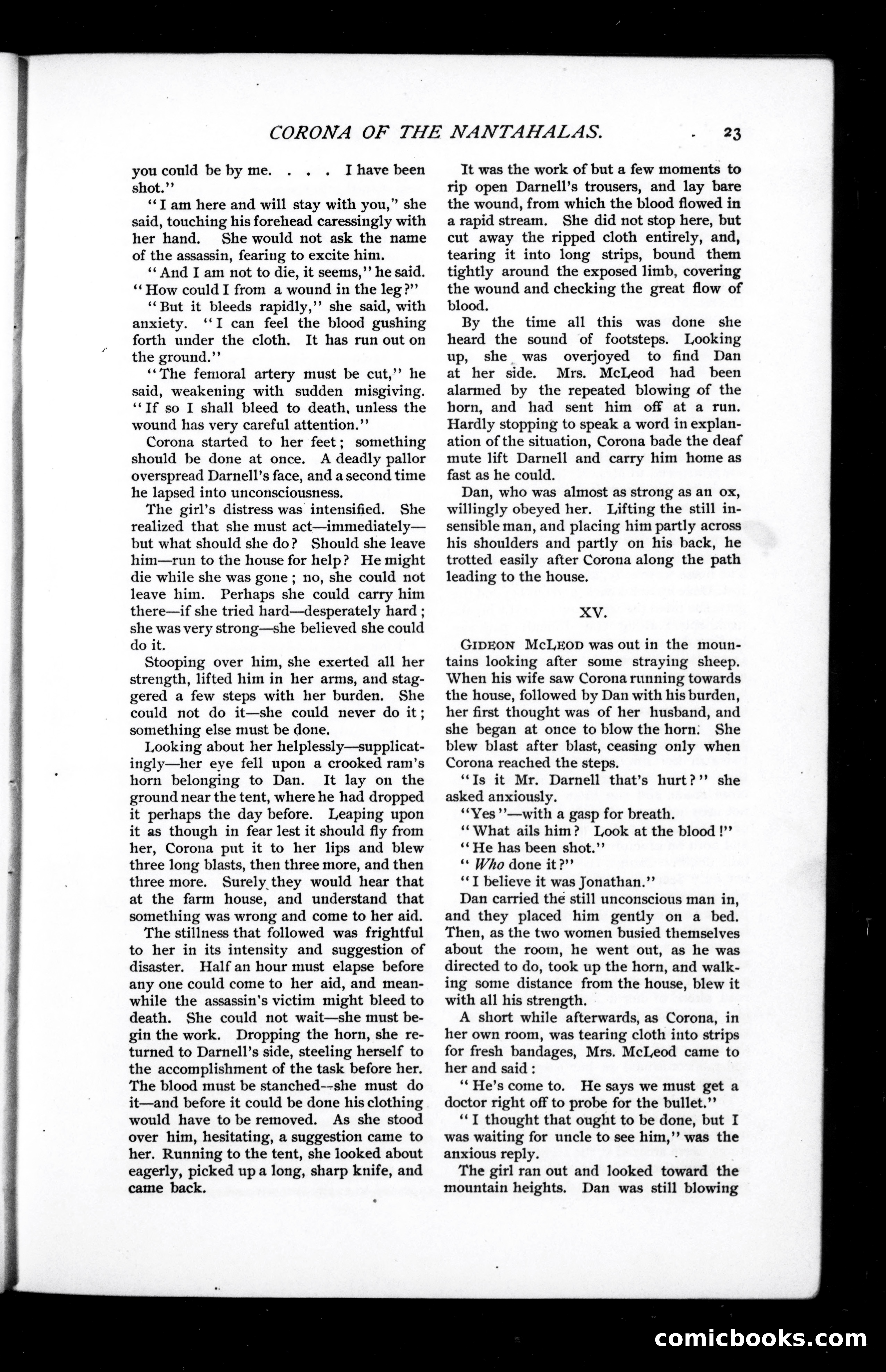Munsey's Magazine, October 1894 — page 21 of 112