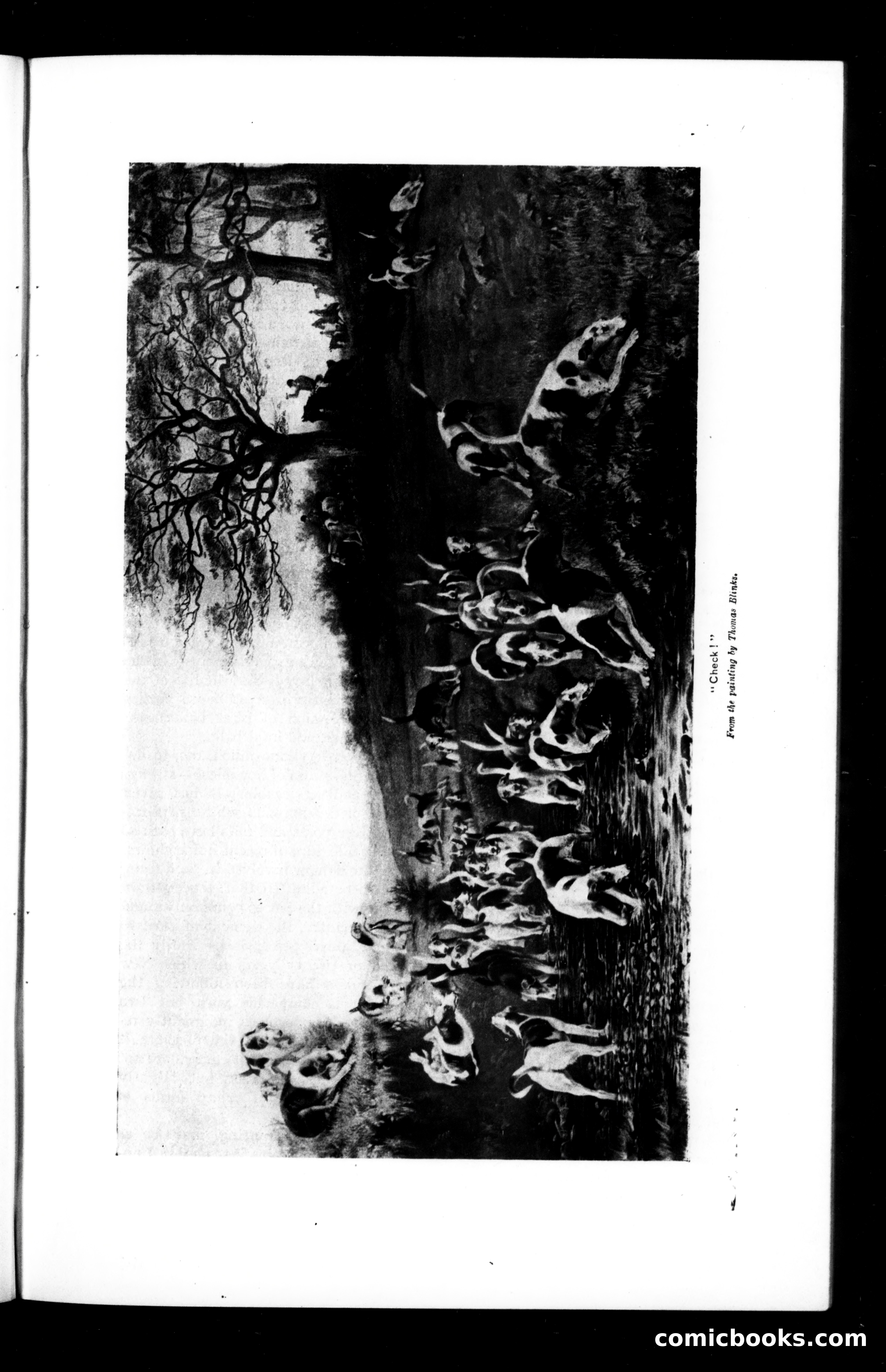 Munsey's Magazine, November 1894 — page 21 of 112