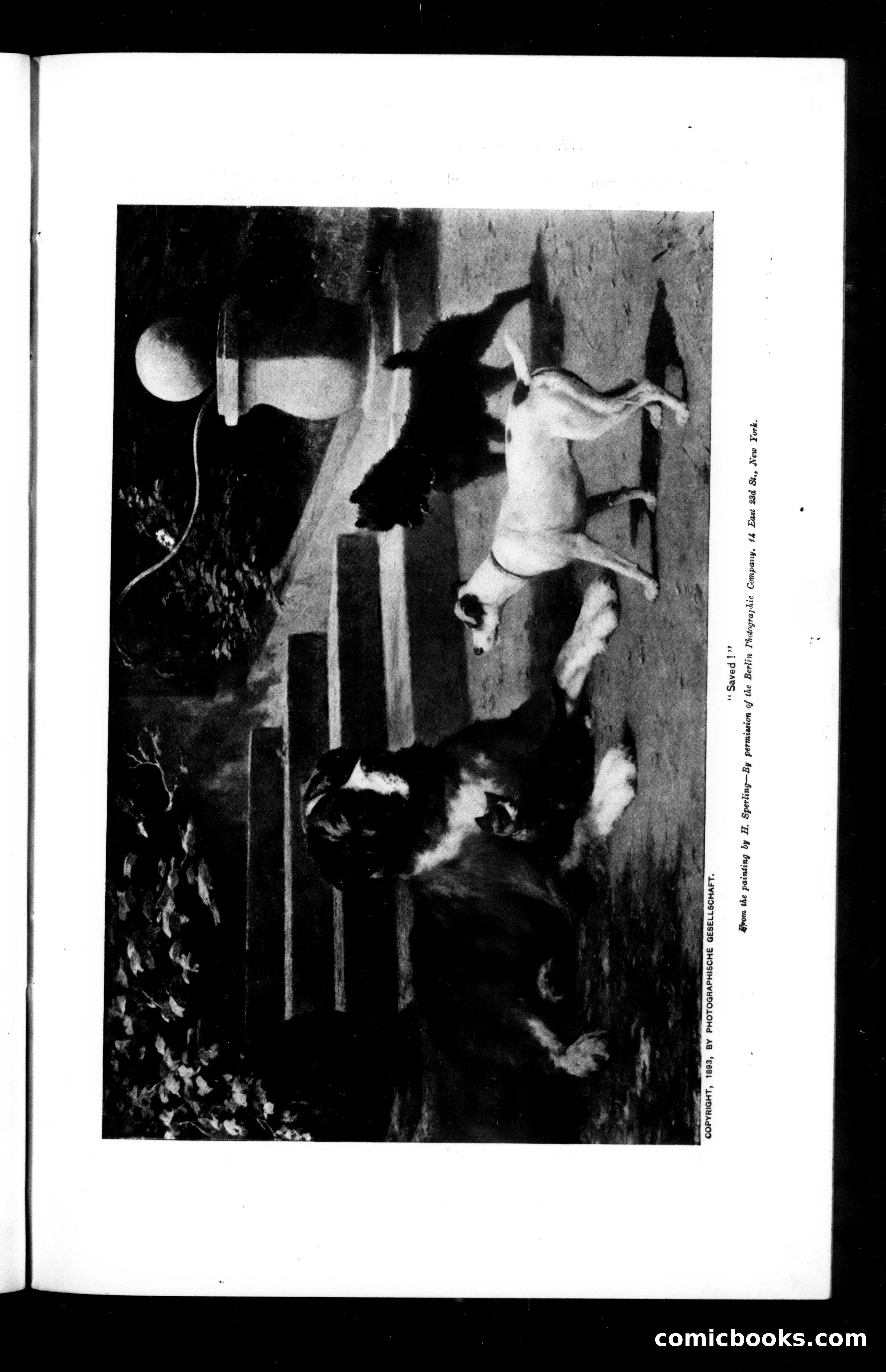 Munsey's Magazine, December 1894 — page 7 of 112