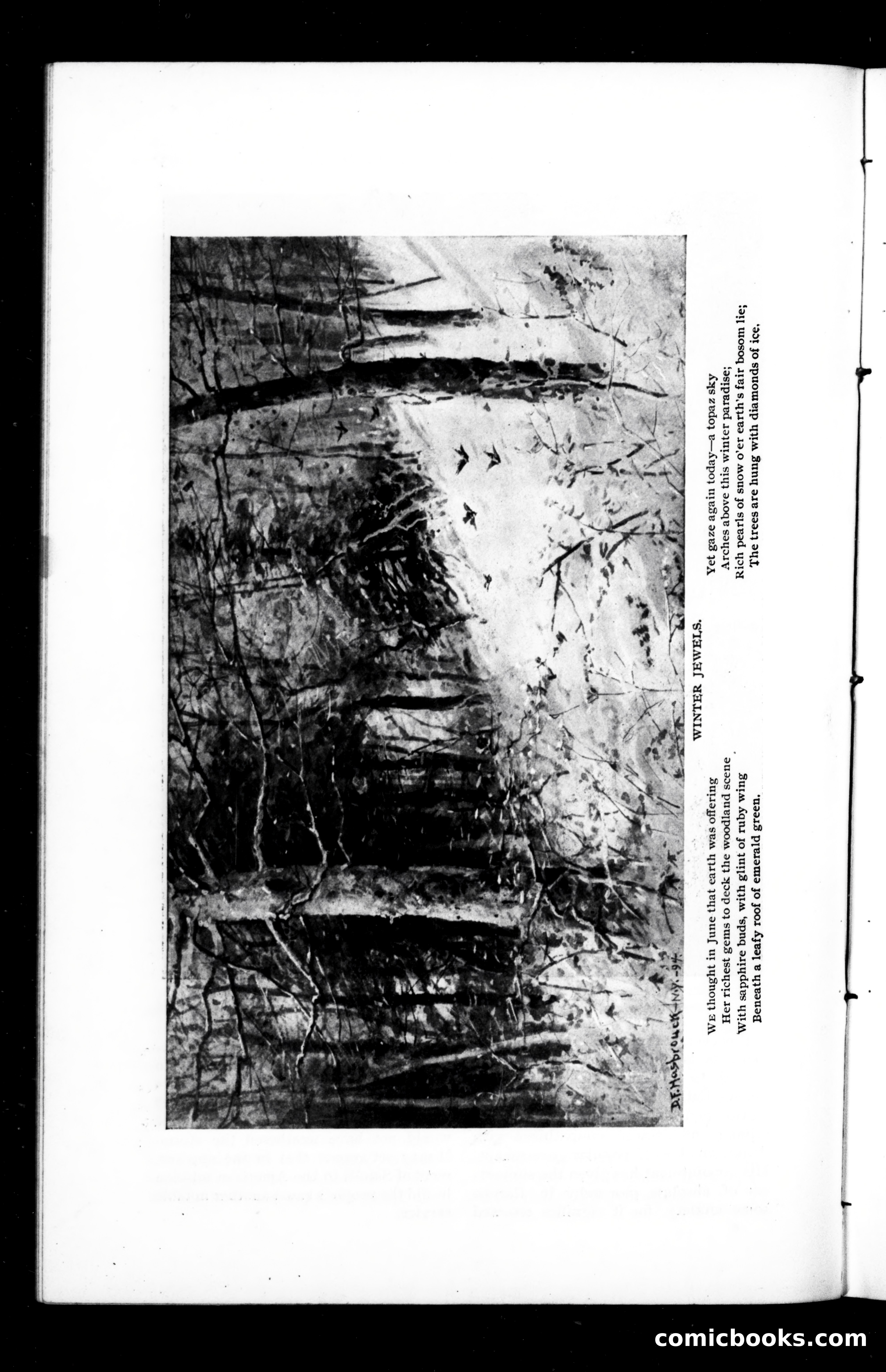 Munsey's Magazine, December 1894 — page 72 of 112
