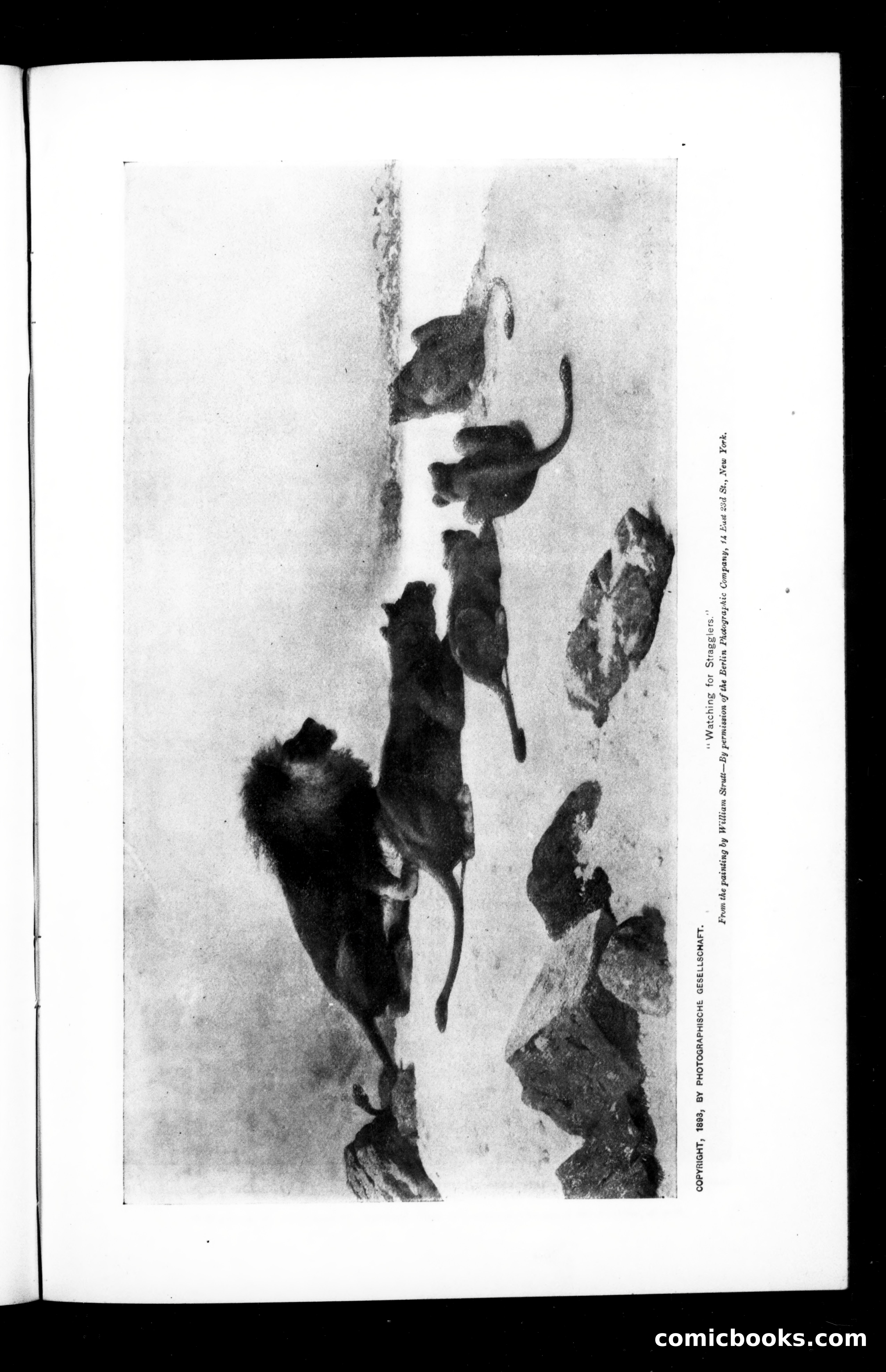 Munsey's Magazine, March 1895 — page 3 of 109