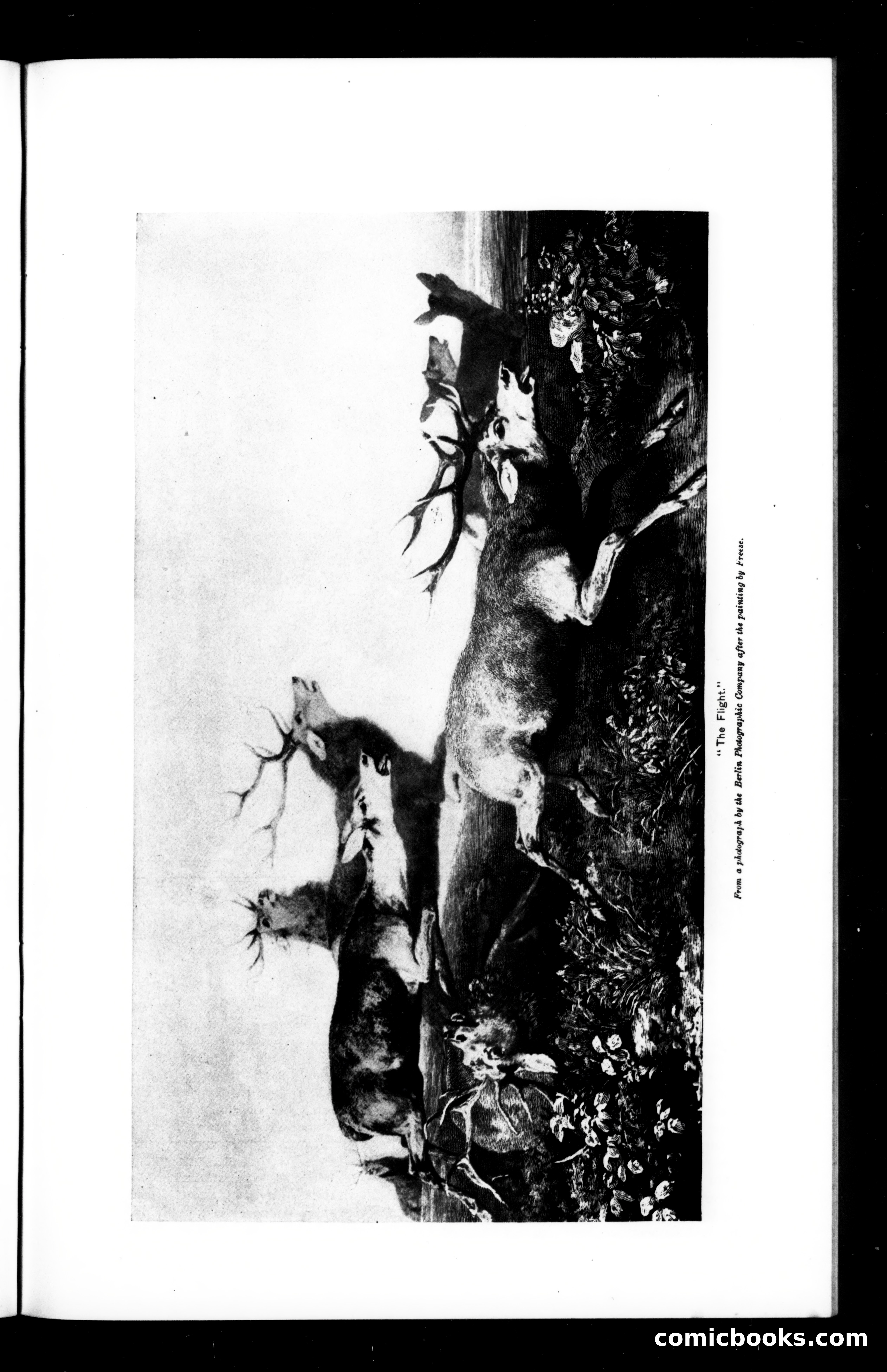 Munsey's Magazine, August 1895 — page 103 of 130